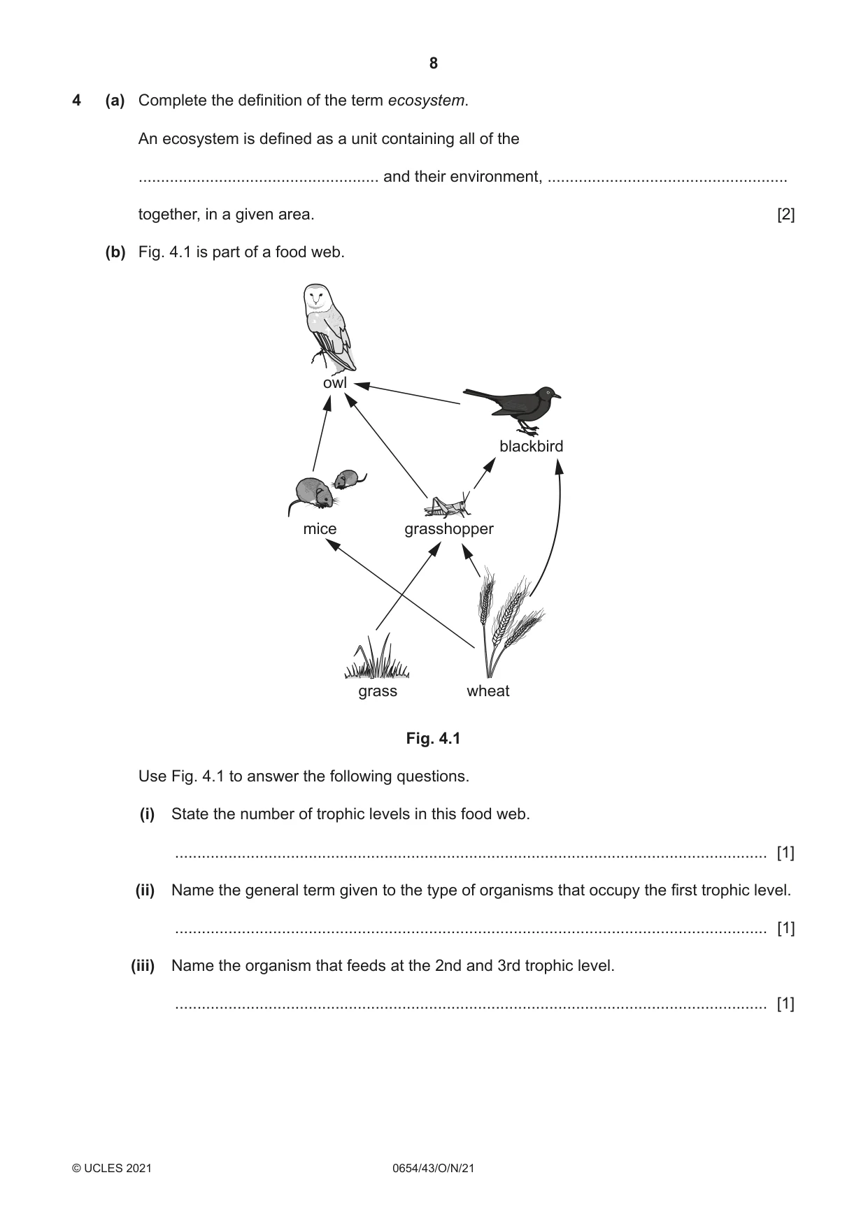 Cambridge IGCSE Sciences - Co-ordinated (Double) 0654 2021 Oct/Nov Paper 4 · Variant 3 question paper, page 8 of 28