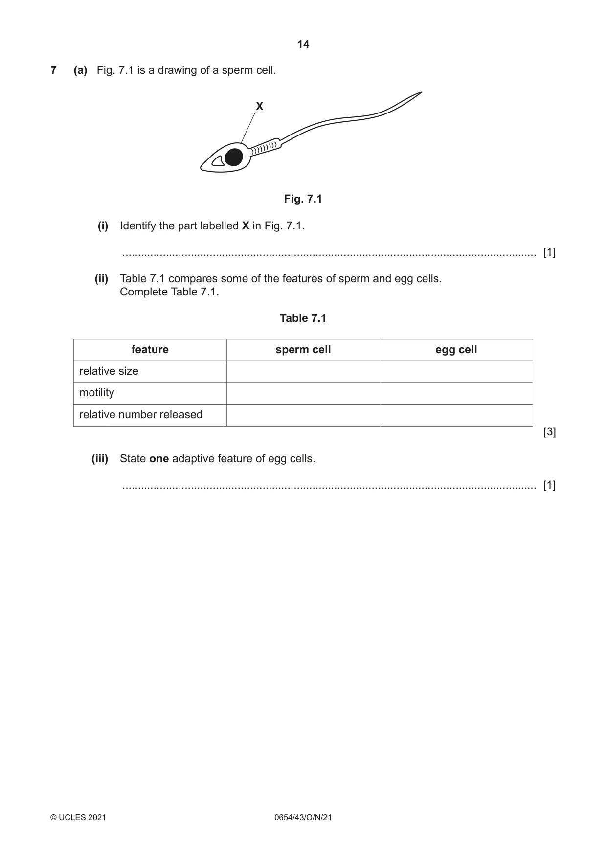 Cambridge IGCSE Sciences - Co-ordinated (Double) 0654 2021 Oct/Nov Paper 4 · Variant 3 question paper, page 14 of 28