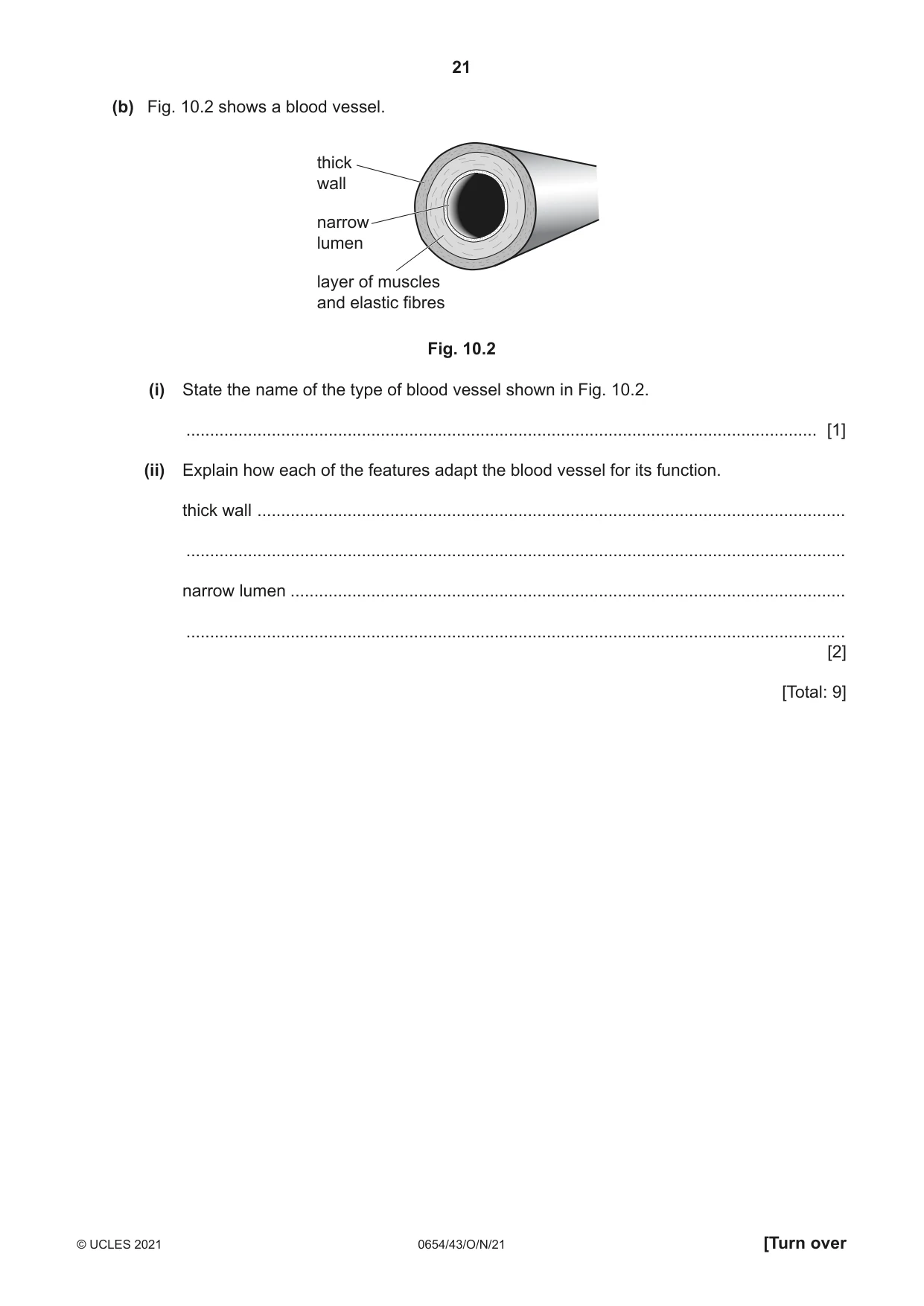 Cambridge IGCSE Sciences - Co-ordinated (Double) 0654 2021 Oct/Nov Paper 4 · Variant 3 question paper, page 21 of 28