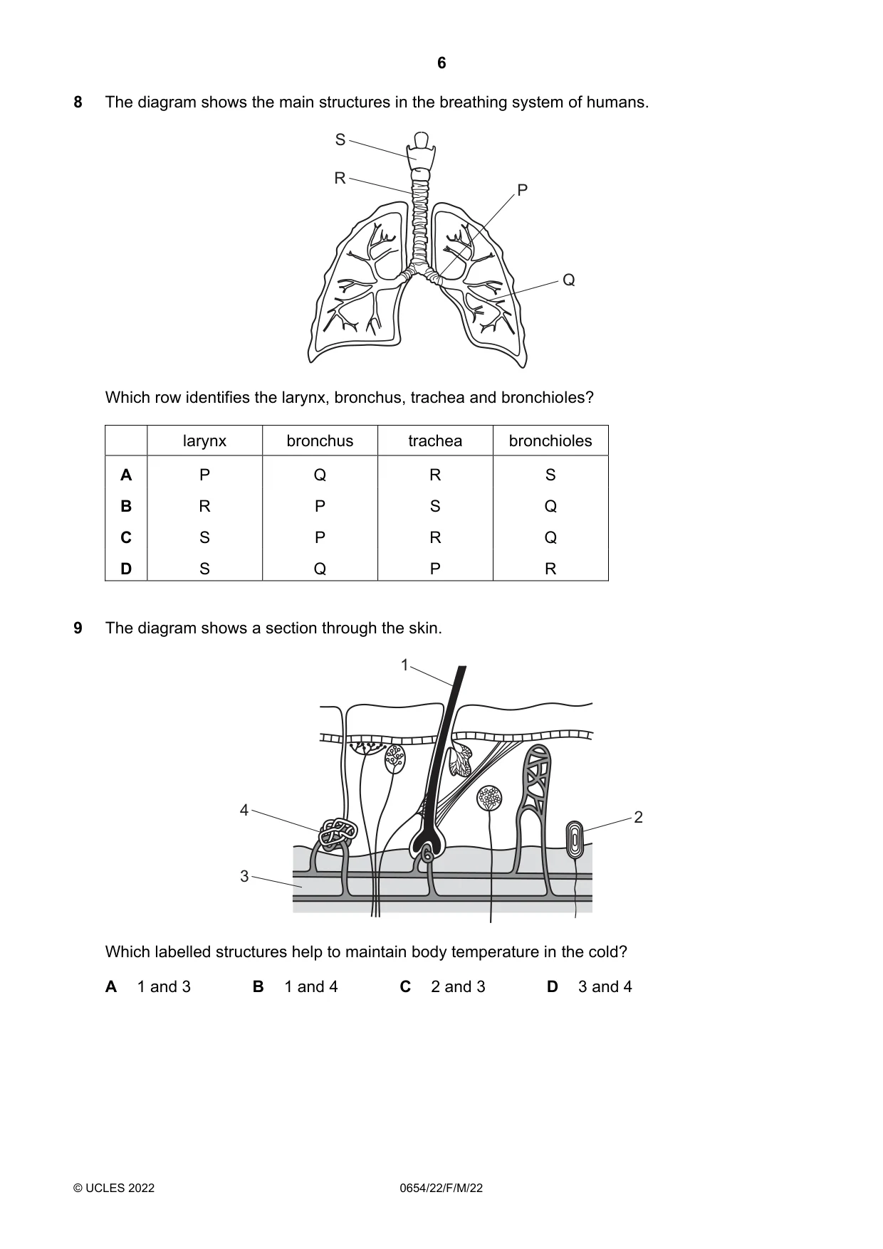 Cambridge IGCSE Sciences - Co-ordinated (Double) 0654 2022 Feb/March Paper 2 · Variant 2 question paper, page 6 of 20