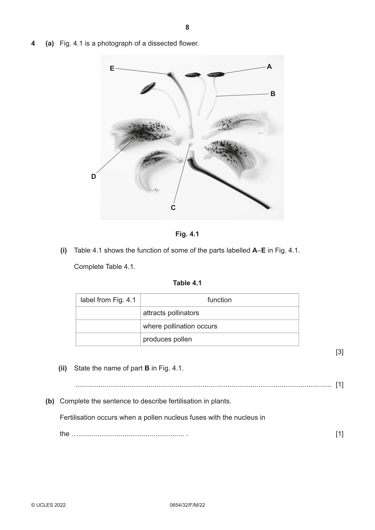 Cambridge IGCSE Sciences - Co-ordinated (Double) 0654 2022 Feb/March Paper 3 · Variant 2 question paper, page 8 of 28