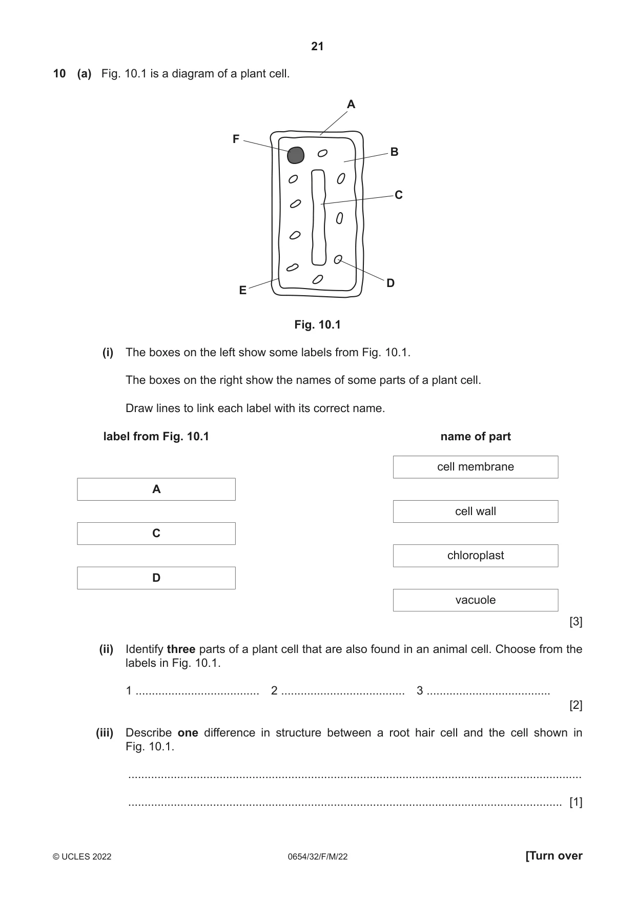 Cambridge IGCSE Sciences - Co-ordinated (Double) 0654 2022 Feb/March Paper 3 · Variant 2 question paper, page 21 of 28