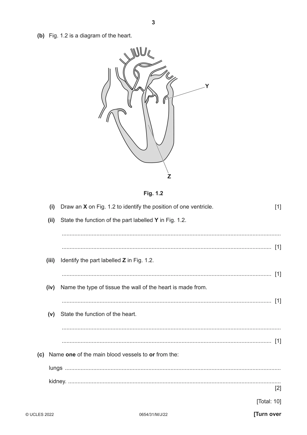 Cambridge IGCSE Sciences - Co-ordinated (Double) 0654 2022 May/June Paper 3 · Variant 1 question paper, page 3 of 28