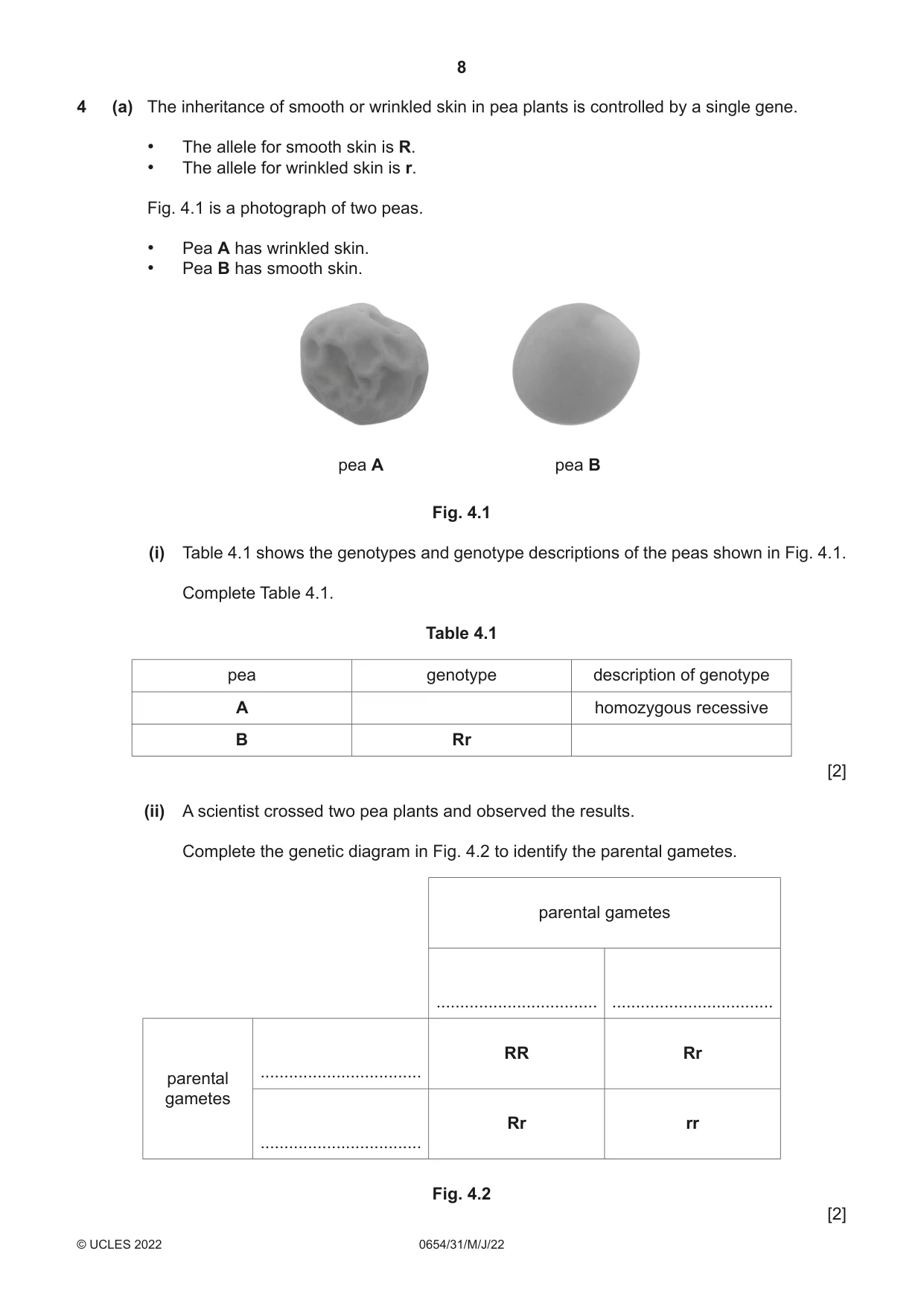 Cambridge IGCSE Sciences - Co-ordinated (Double) 0654 2022 May/June Paper 3 · Variant 1 question paper, page 8 of 28