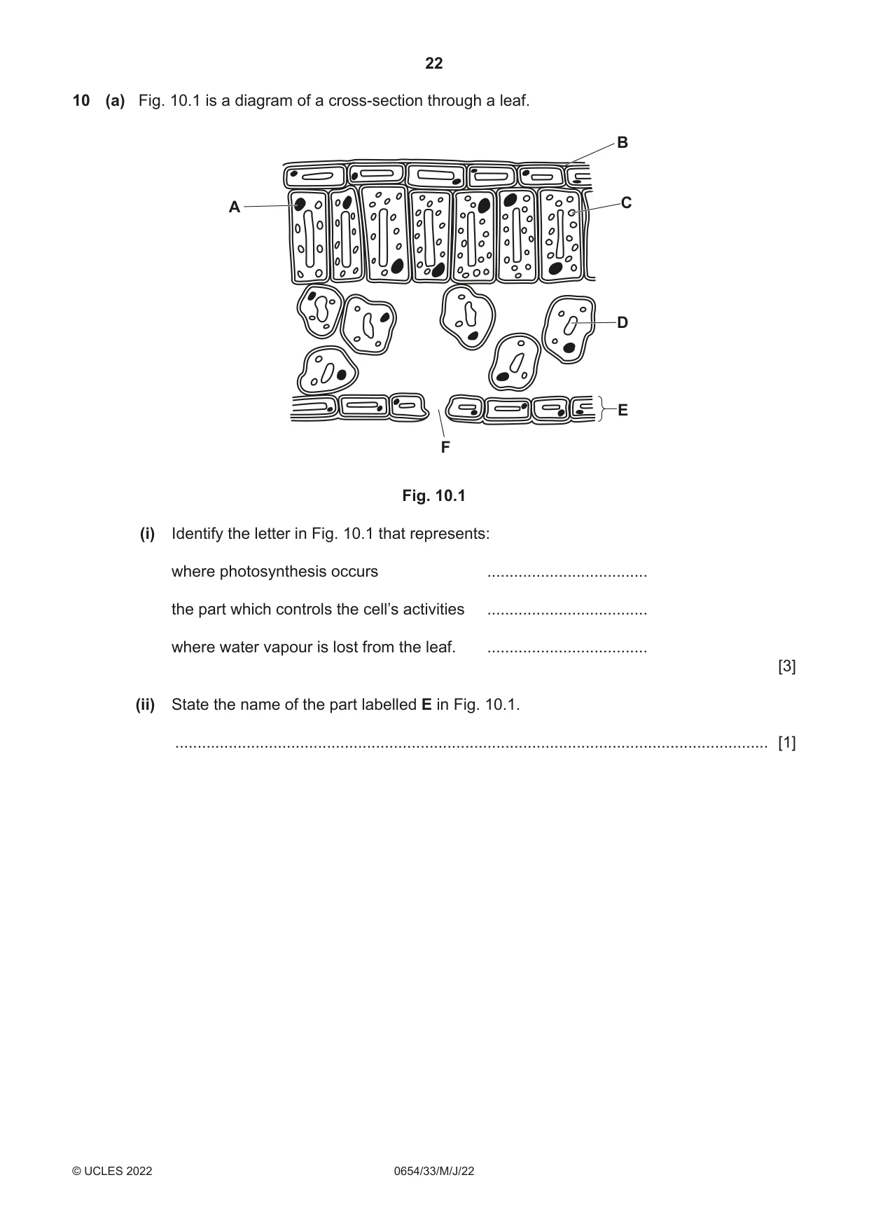 Cambridge IGCSE Sciences - Co-ordinated (Double) 0654 2022 May/June Paper 3 · Variant 3 question paper, page 22 of 32