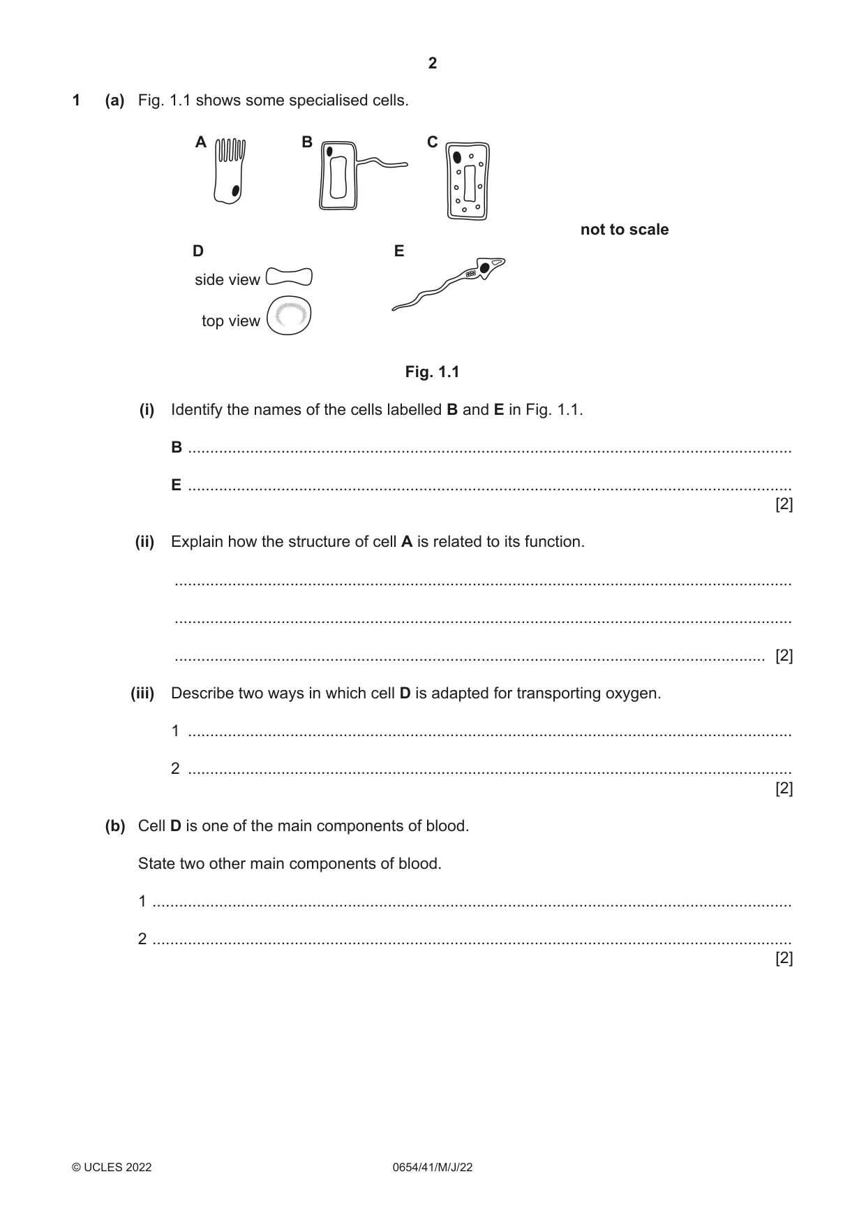 Cambridge IGCSE Sciences - Co-ordinated (Double) 0654 2022 May/June Paper 4 · Variant 1 question paper, page 2 of 36