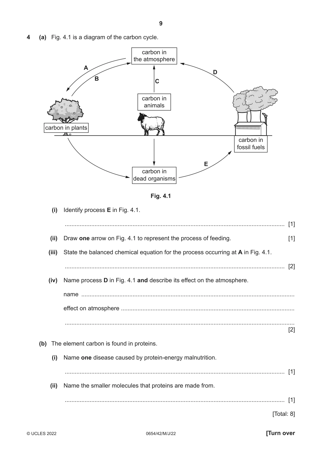 Cambridge IGCSE Sciences - Co-ordinated (Double) 0654 2022 May/June Paper 4 · Variant 2 question paper, page 9 of 28