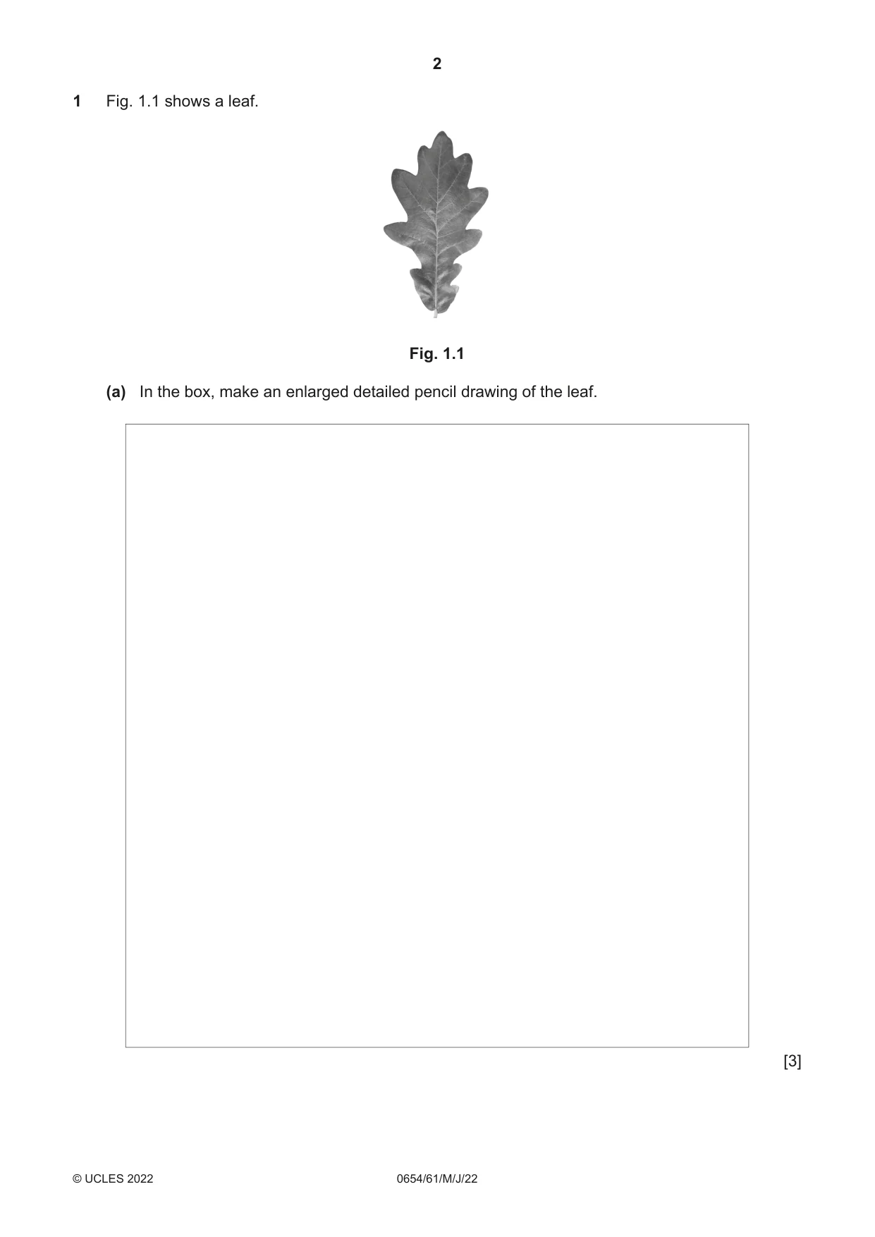 Cambridge IGCSE Sciences - Co-ordinated (Double) 0654 2022 May/June Paper 6 · Variant 1 question paper, page 2 of 20