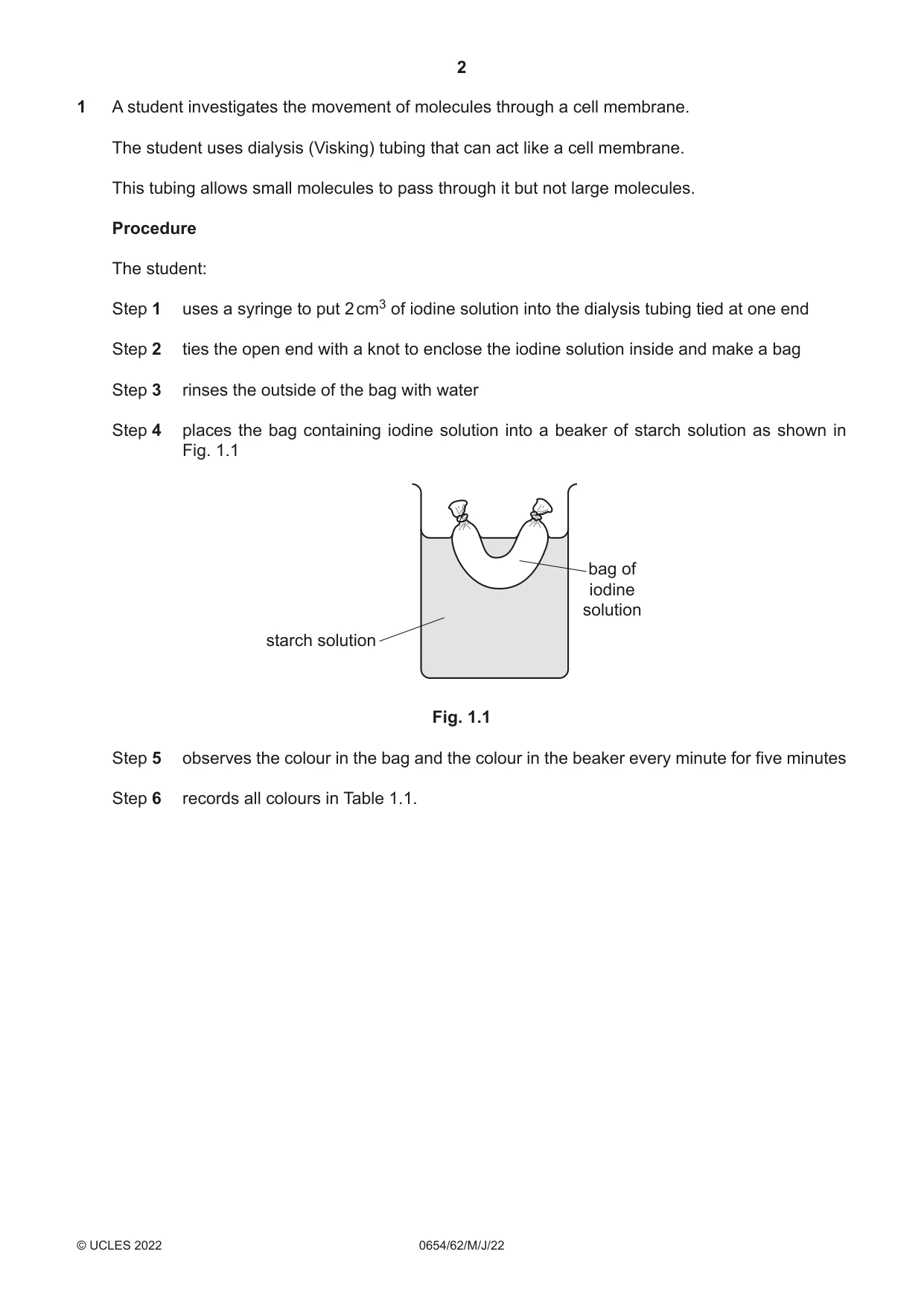 Cambridge IGCSE Sciences - Co-ordinated (Double) 0654 2022 May/June Paper 6 · Variant 2 question paper, page 2 of 20