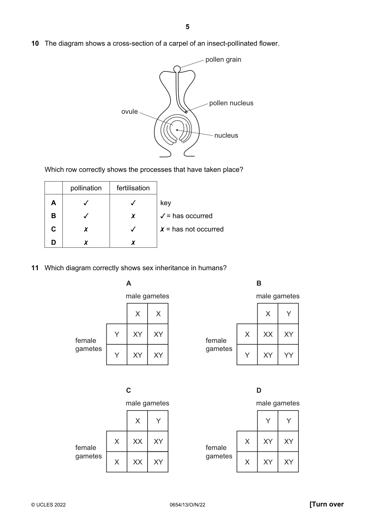 Cambridge IGCSE Sciences - Co-ordinated (Double) 0654 2022 Oct/Nov Paper 1 · Variant 3 question paper, page 5 of 16