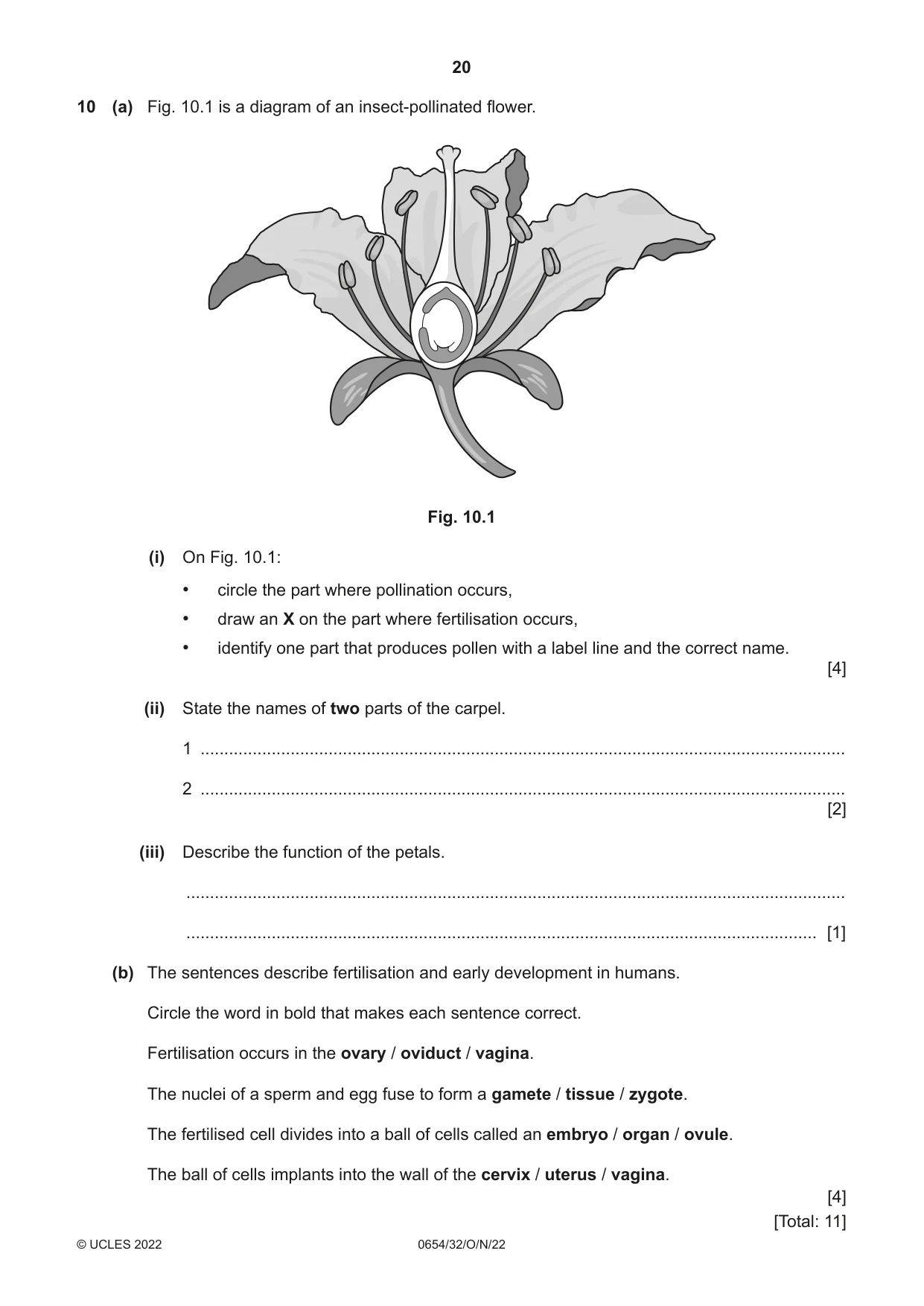 Cambridge IGCSE Sciences - Co-ordinated (Double) 0654 2022 Oct/Nov Paper 3 · Variant 2 question paper, page 20 of 28