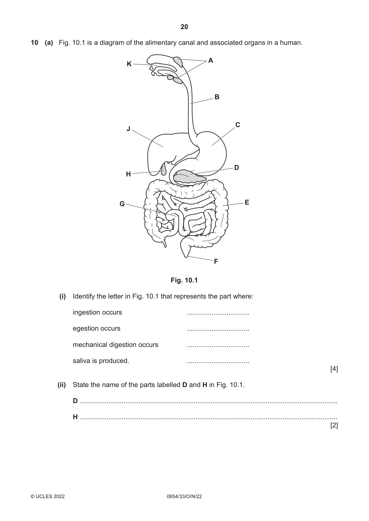 Cambridge IGCSE Sciences - Co-ordinated (Double) 0654 2022 Oct/Nov Paper 3 · Variant 3 question paper, page 20 of 28