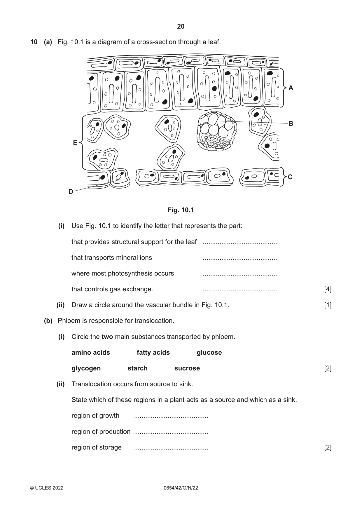 Cambridge IGCSE Sciences - Co-ordinated (Double) 0654 2022 Oct/Nov Paper 4 · Variant 2 question paper, page 20 of 28