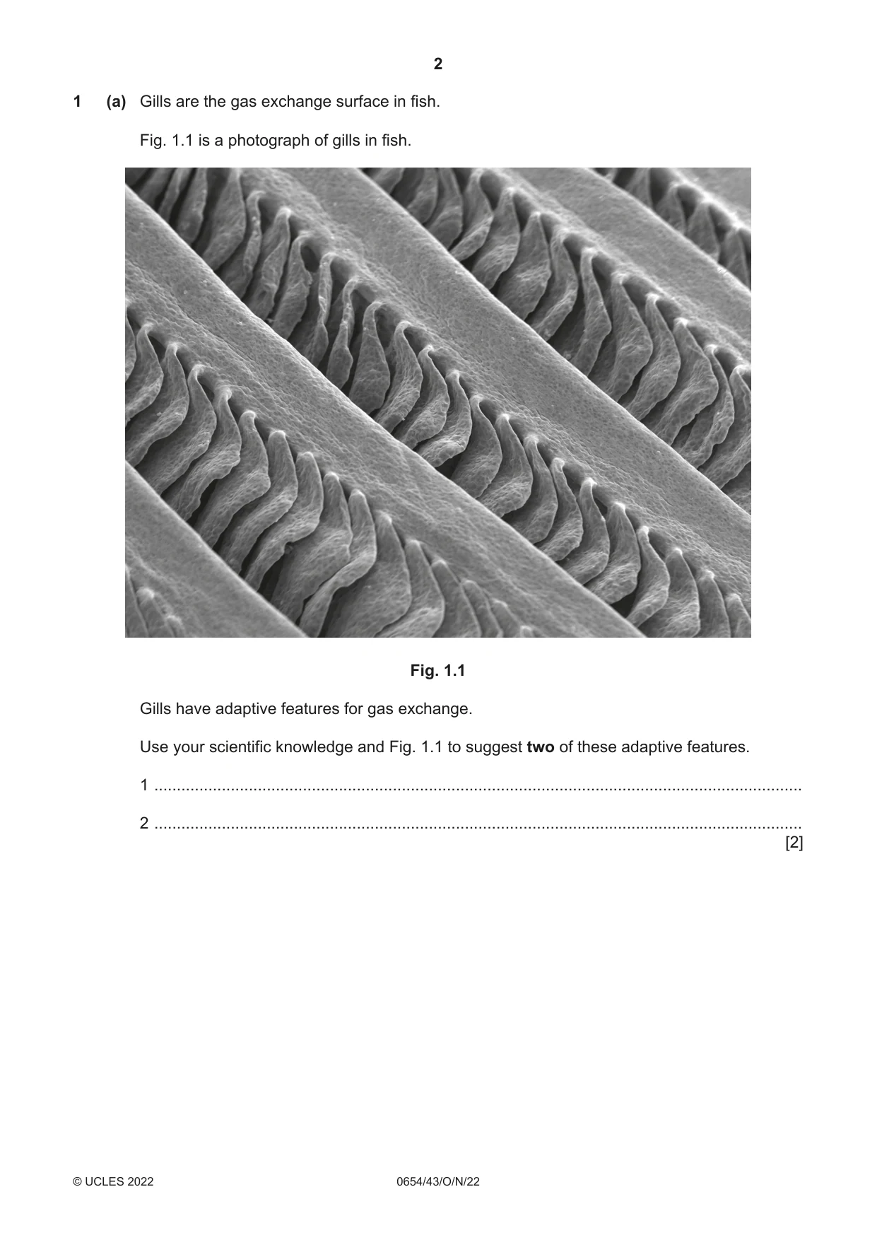 Cambridge IGCSE Sciences - Co-ordinated (Double) 0654 2022 Oct/Nov Paper 4 · Variant 3 question paper, page 2 of 32