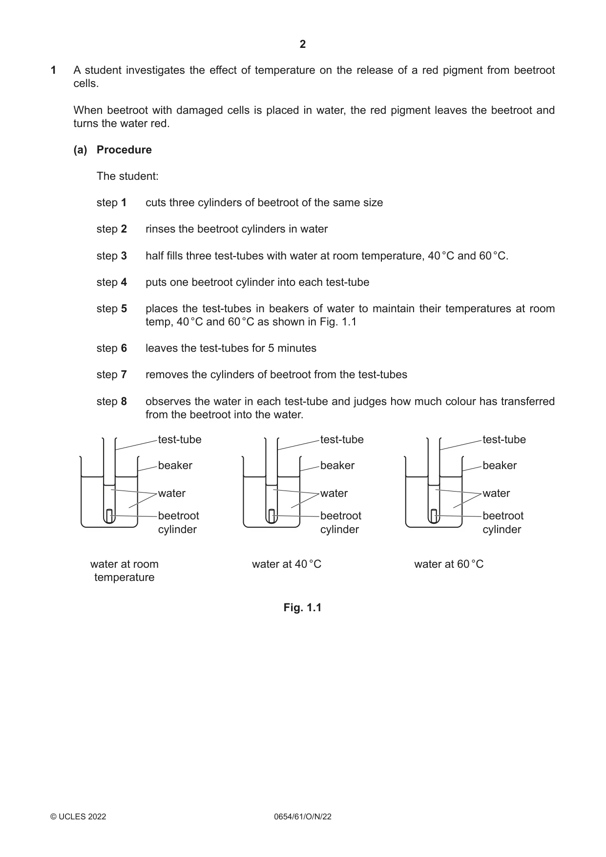 Cambridge IGCSE Sciences - Co-ordinated (Double) 0654 2022 Oct/Nov Paper 6 · Variant 1 question paper, page 2 of 20