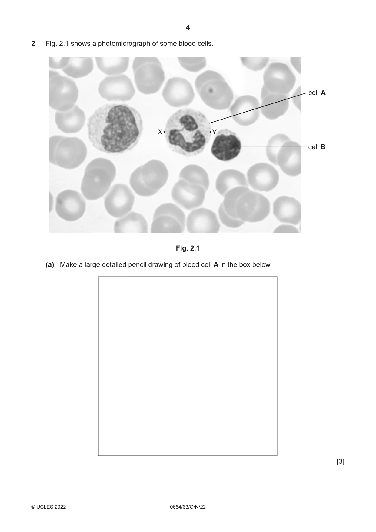 Cambridge IGCSE Sciences - Co-ordinated (Double) 0654 2022 Oct/Nov Paper 6 · Variant 3 question paper, page 4 of 20