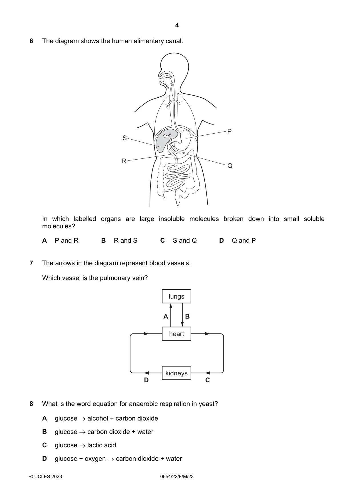 Cambridge IGCSE Sciences - Co-ordinated (Double) 0654 2023 Feb/March Paper 2 · Variant 2 question paper, page 4 of 16