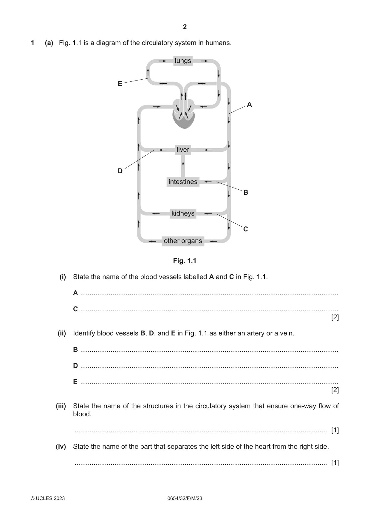 Cambridge IGCSE Sciences - Co-ordinated (Double) 0654 2023 Feb/March Paper 3 · Variant 2 question paper, page 2 of 24