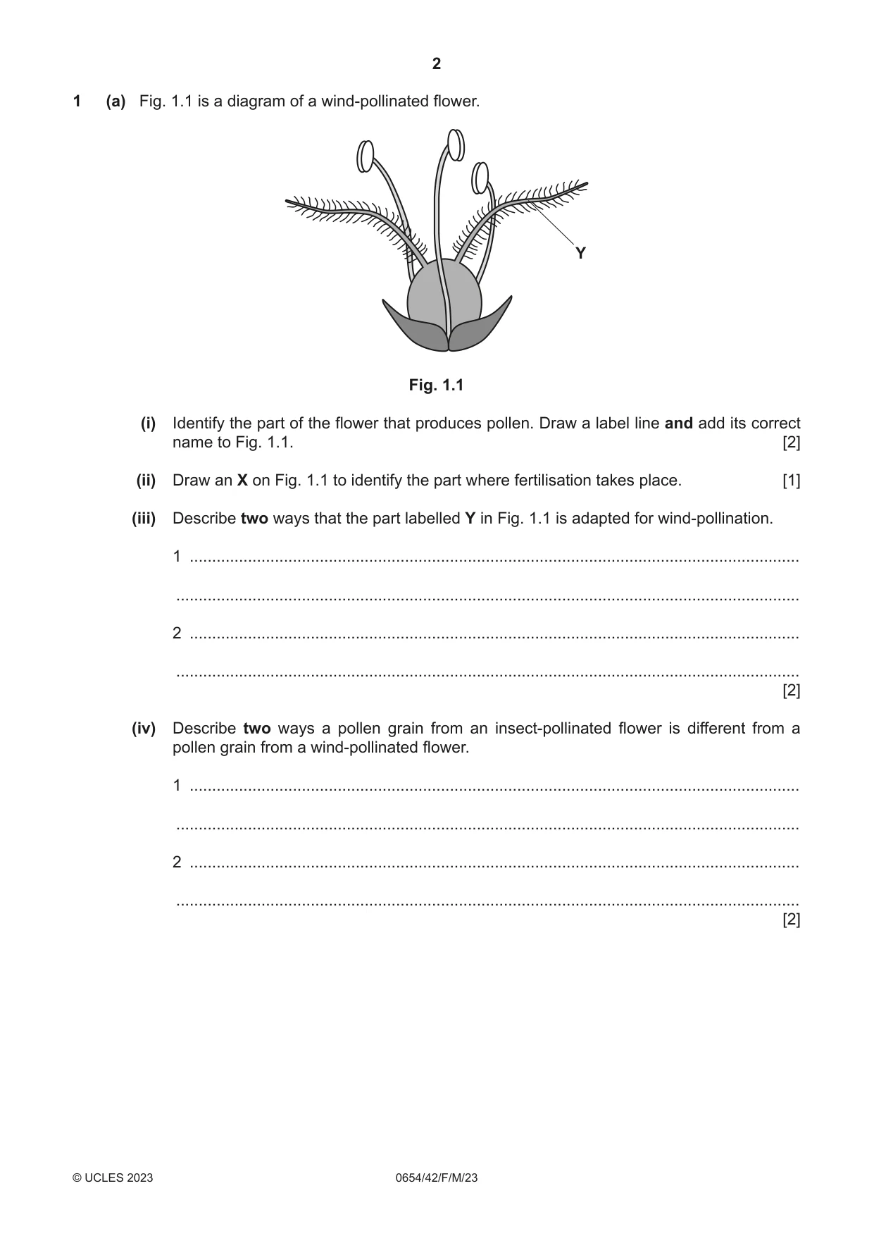 Cambridge IGCSE Sciences - Co-ordinated (Double) 0654 2023 Feb/March Paper 4 · Variant 2 question paper, page 2 of 36