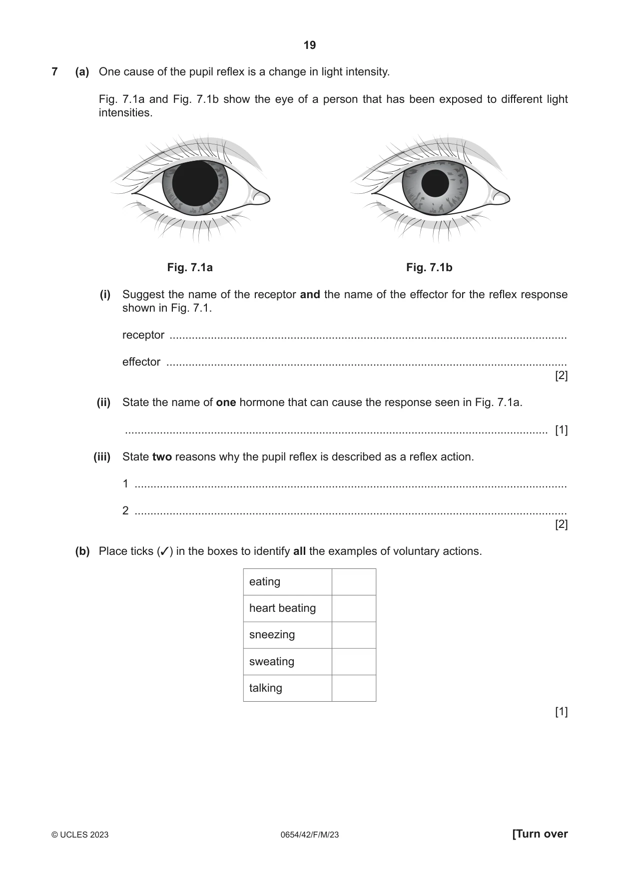 Cambridge IGCSE Sciences - Co-ordinated (Double) 0654 2023 Feb/March Paper 4 · Variant 2 question paper, page 19 of 36