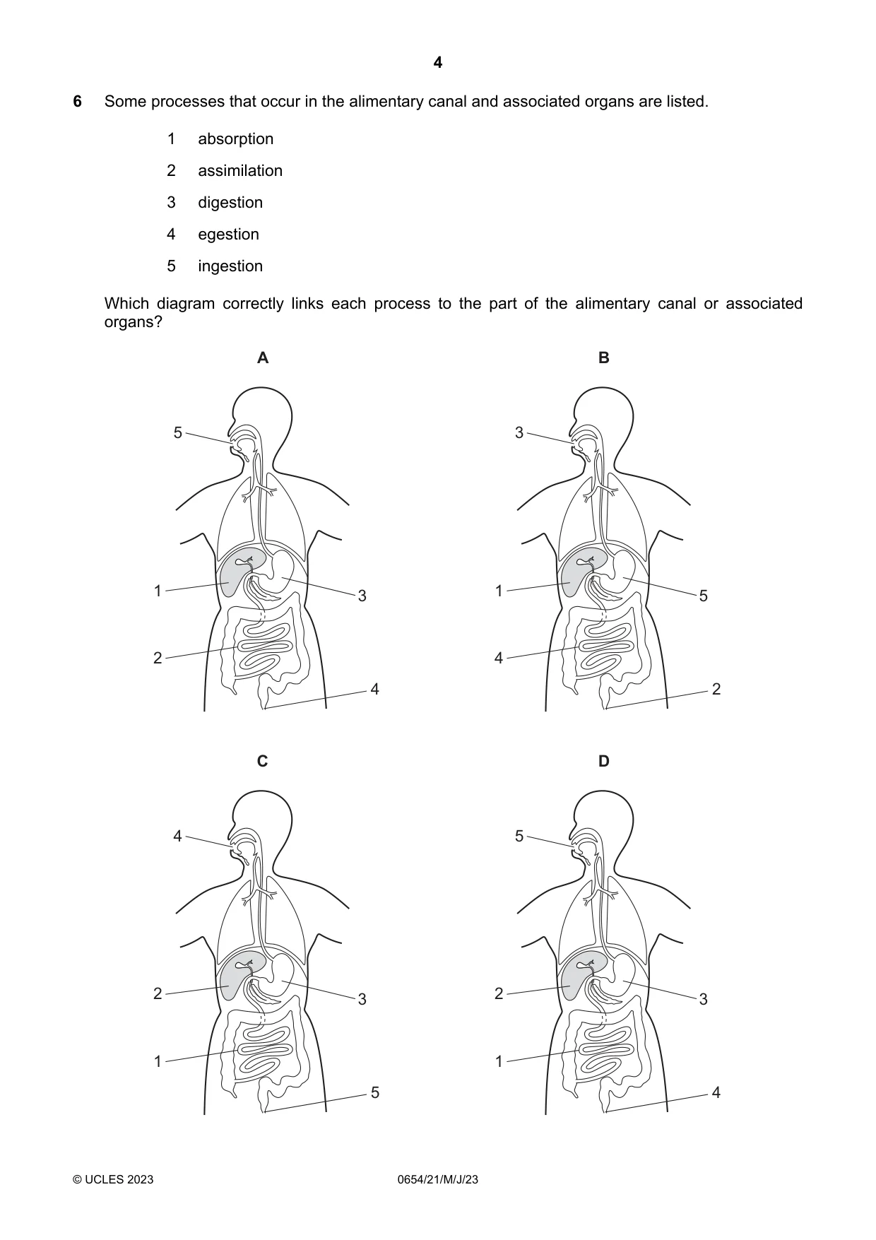 Cambridge IGCSE Sciences - Co-ordinated (Double) 0654 2023 May/June Paper 2 · Variant 1 question paper, page 4 of 16