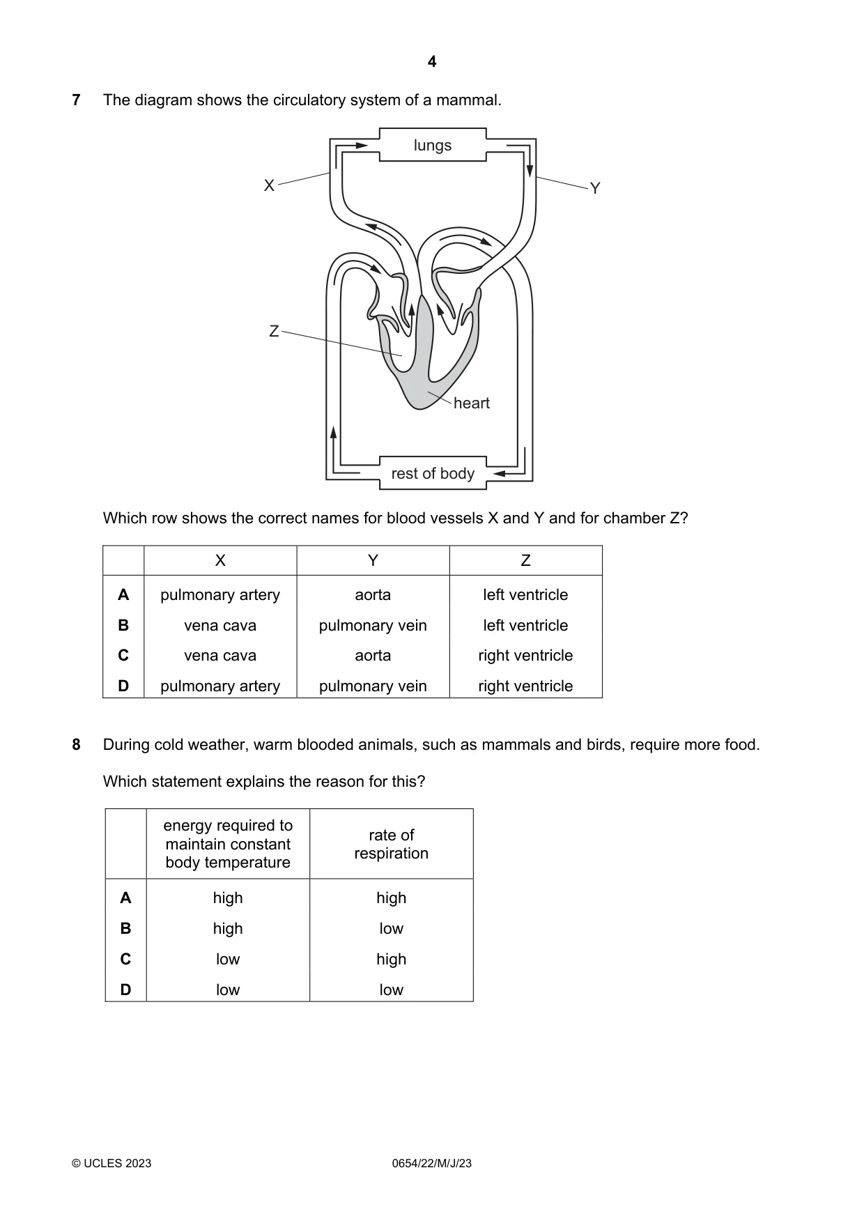 Cambridge IGCSE Sciences - Co-ordinated (Double) 0654 2023 May/June Paper 2 · Variant 2 question paper, page 4 of 16