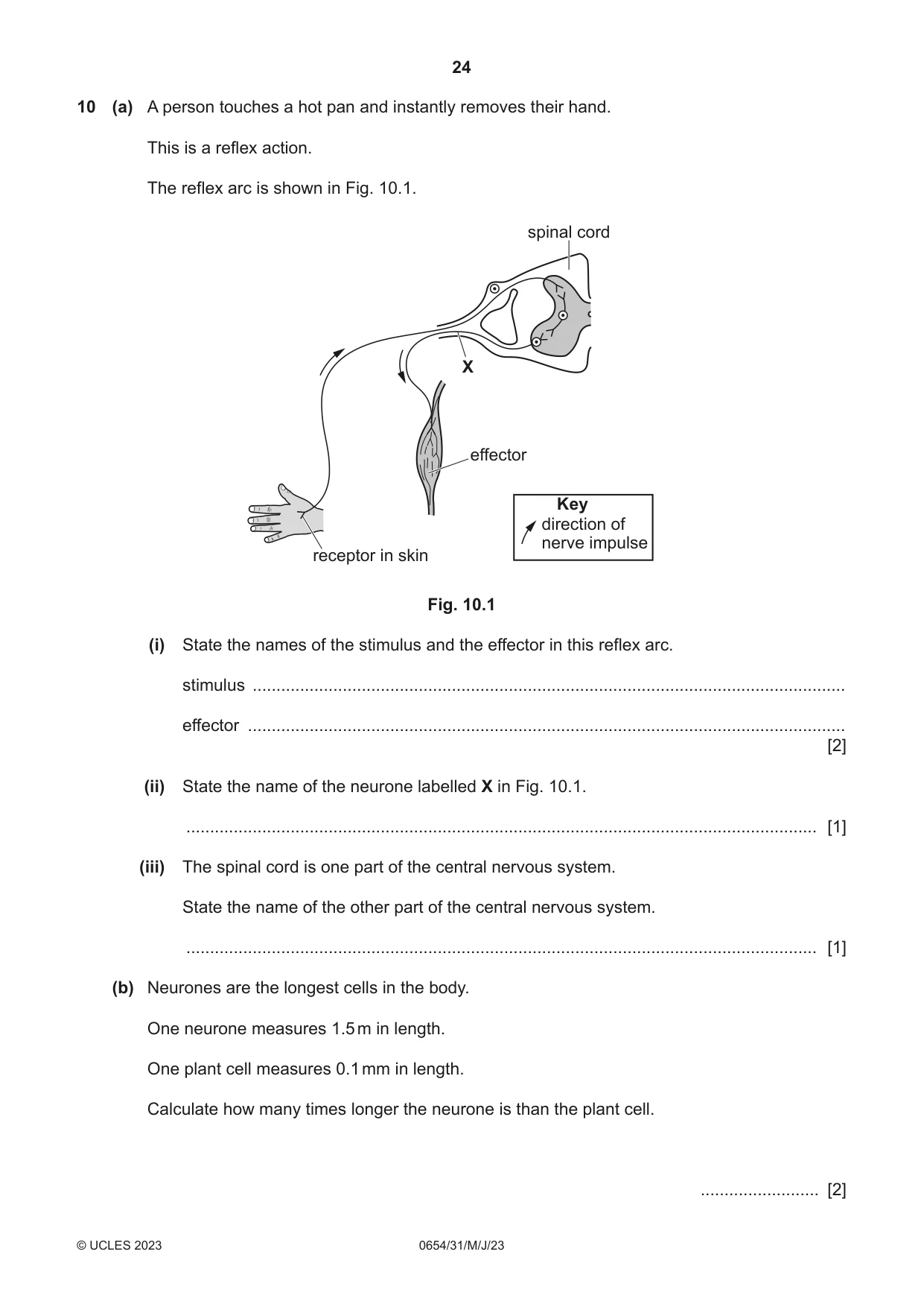 Cambridge IGCSE Sciences - Co-ordinated (Double) 0654 2023 May/June Paper 3 · Variant 1 question paper, page 24 of 32
