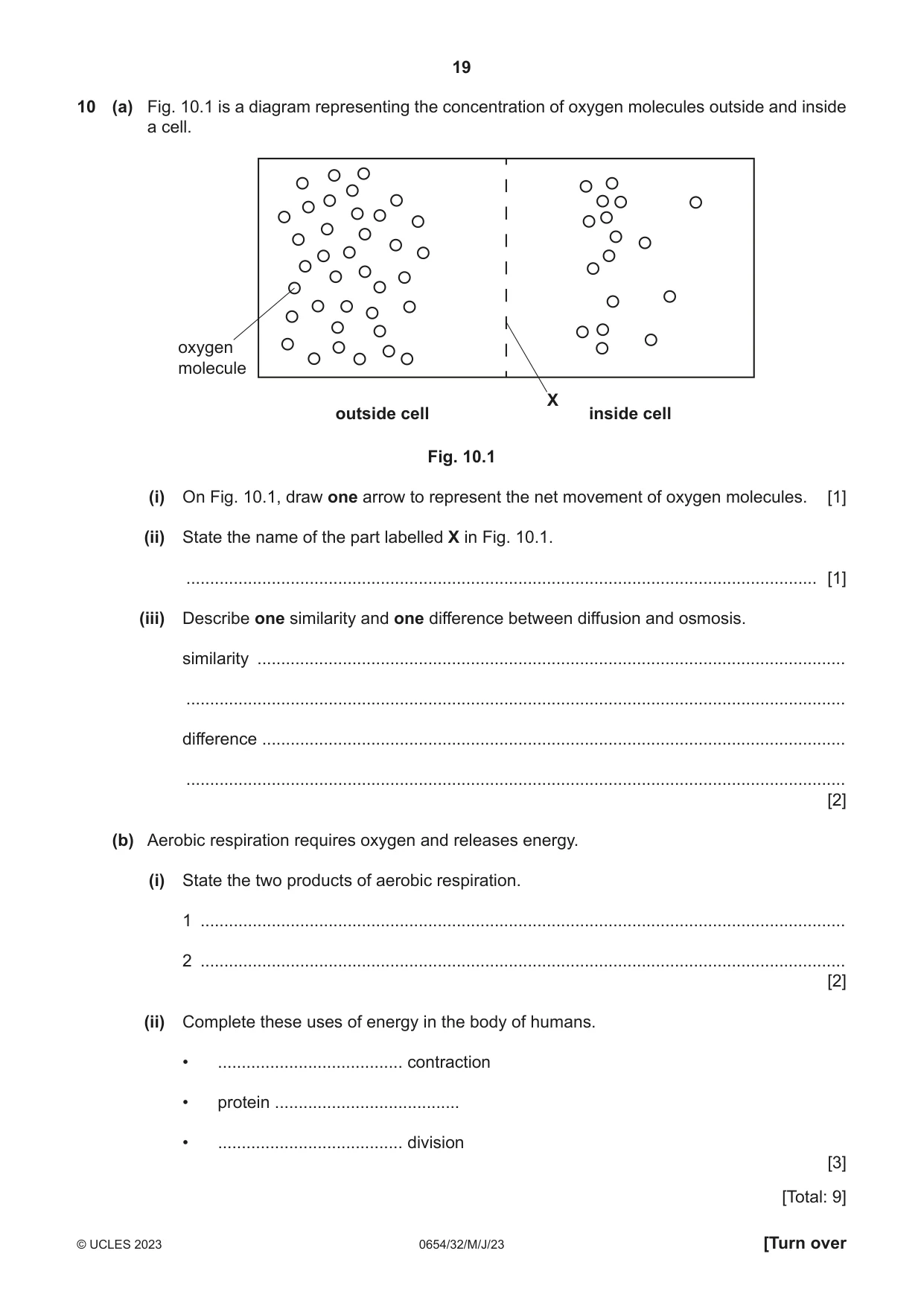 Cambridge IGCSE Sciences - Co-ordinated (Double) 0654 2023 May/June Paper 3 · Variant 2 question paper, page 19 of 28