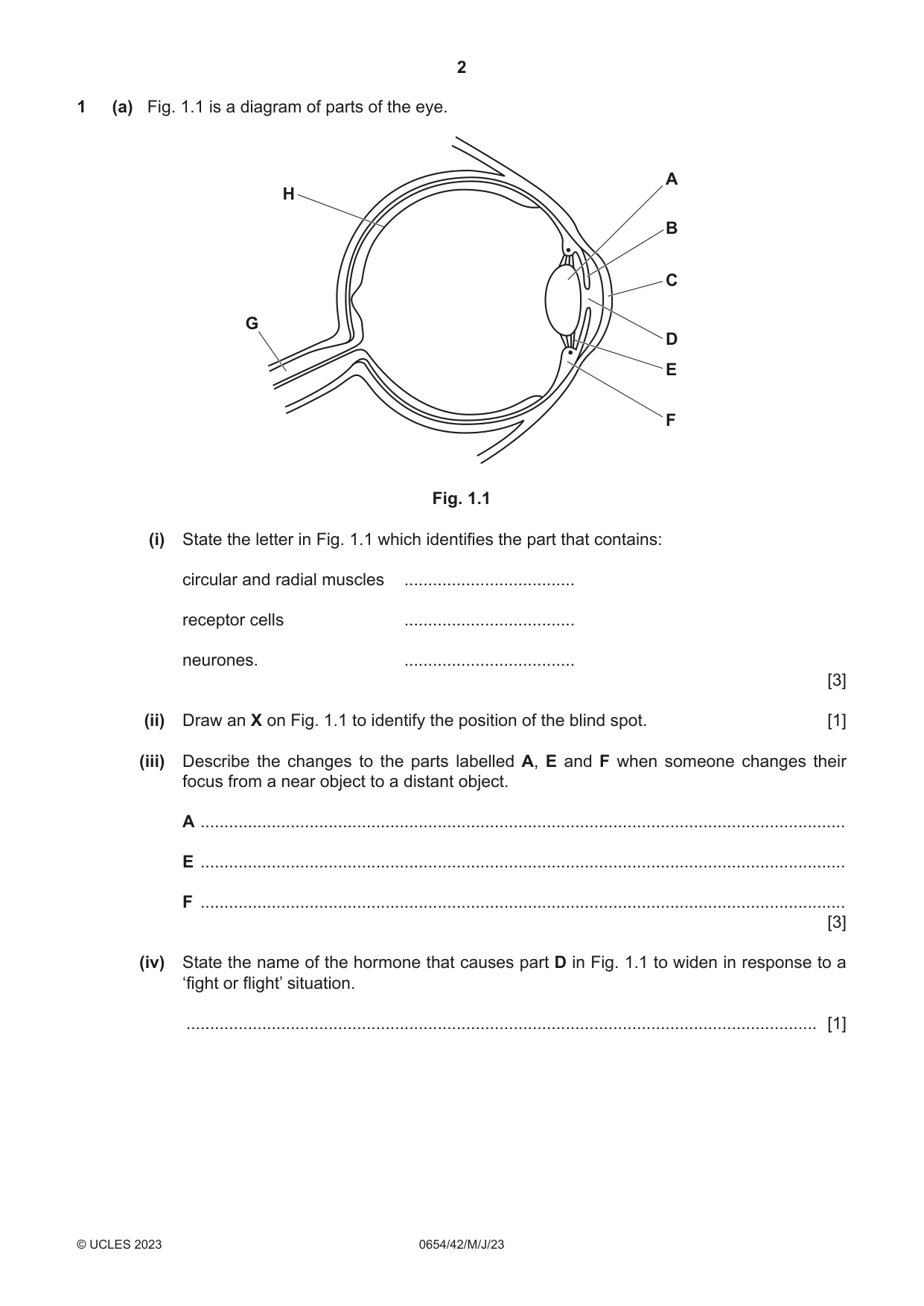 Cambridge IGCSE Sciences - Co-ordinated (Double) 0654 2023 May/June Paper 4 · Variant 2 question paper, page 2 of 32