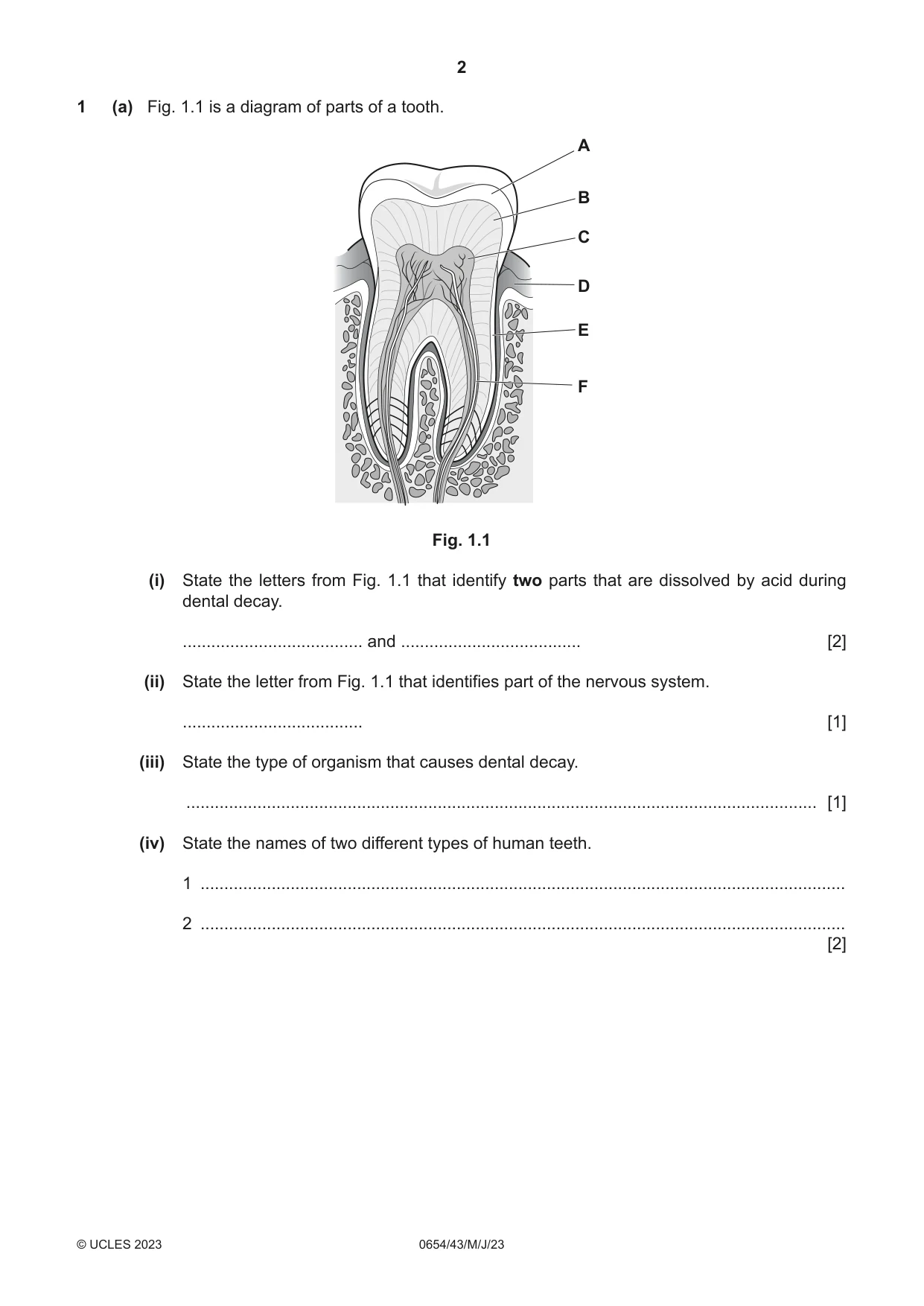 Cambridge IGCSE Sciences - Co-ordinated (Double) 0654 2023 May/June Paper 4 · Variant 3 question paper, page 2 of 32