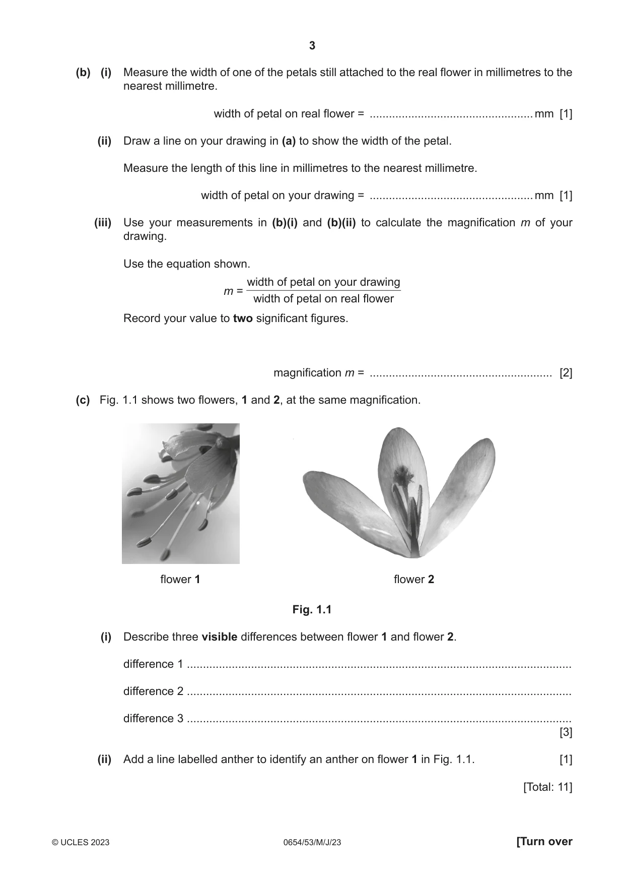 Cambridge IGCSE Sciences - Co-ordinated (Double) 0654 2023 May/June Paper 5 · Variant 3 question paper, page 3 of 16