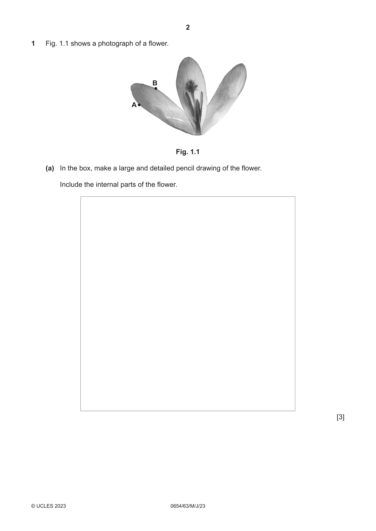Cambridge IGCSE Sciences - Co-ordinated (Double) 0654 2023 May/June Paper 6 · Variant 3 question paper, page 2 of 16