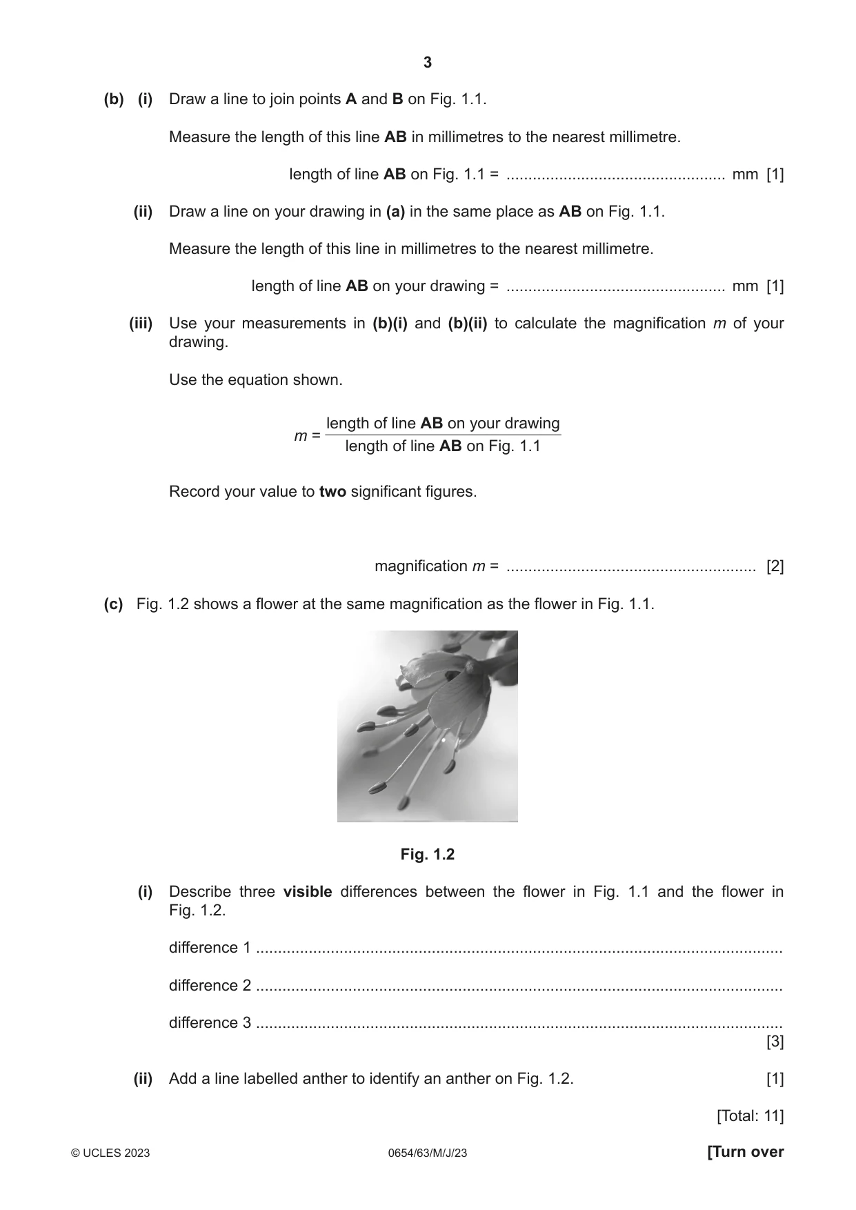 Cambridge IGCSE Sciences - Co-ordinated (Double) 0654 2023 May/June Paper 6 · Variant 3 question paper, page 3 of 16