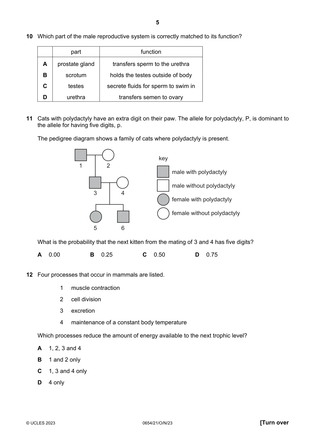 Cambridge IGCSE Sciences - Co-ordinated (Double) 0654 2023 Oct/Nov Paper 2 · Variant 1 question paper, page 5 of 16