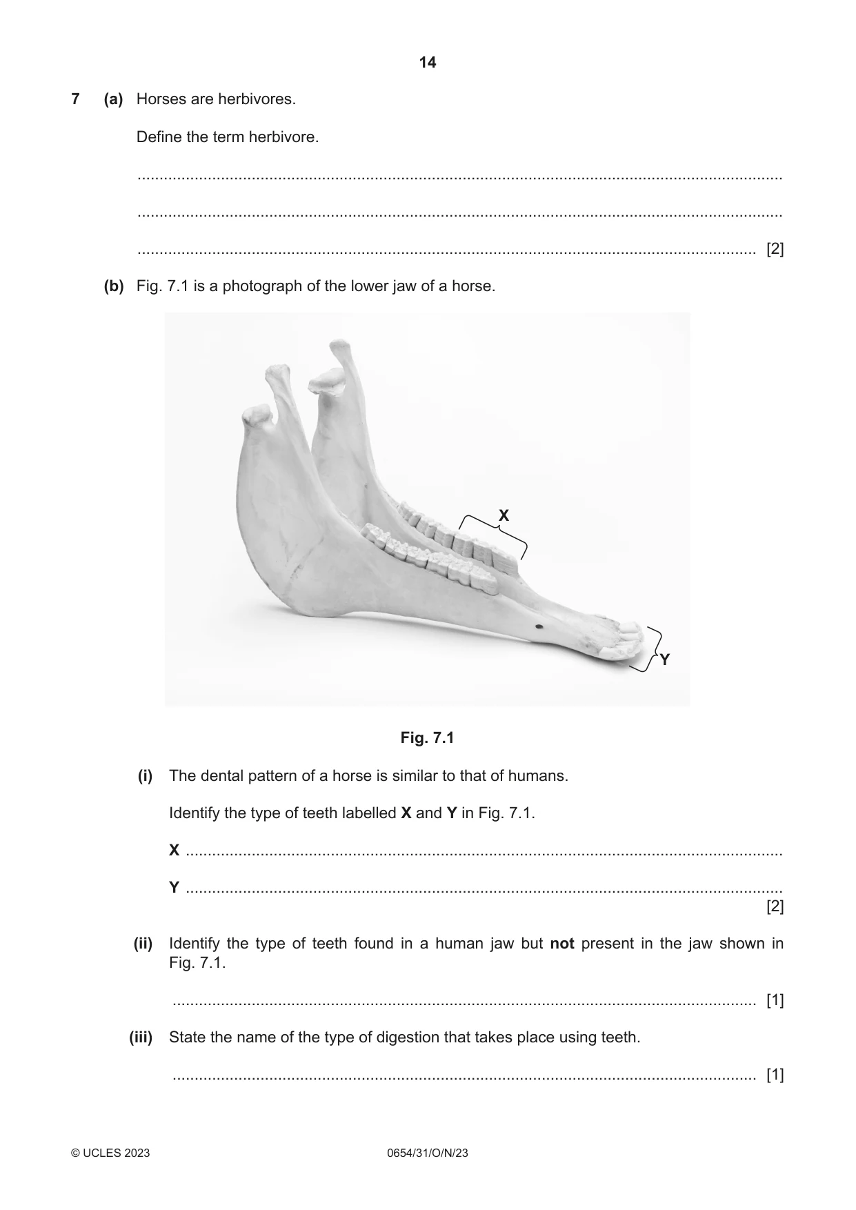 Cambridge IGCSE Sciences - Co-ordinated (Double) 0654 2023 Oct/Nov Paper 3 · Variant 1 question paper, page 14 of 28