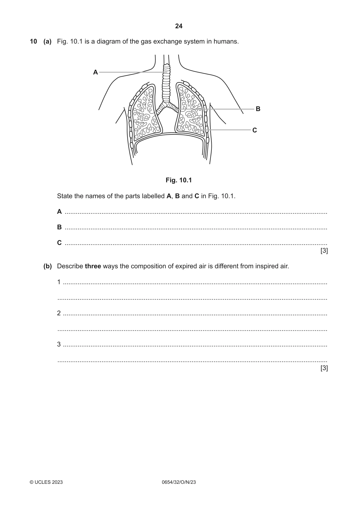Cambridge IGCSE Sciences - Co-ordinated (Double) 0654 2023 Oct/Nov Paper 3 · Variant 2 question paper, page 24 of 32