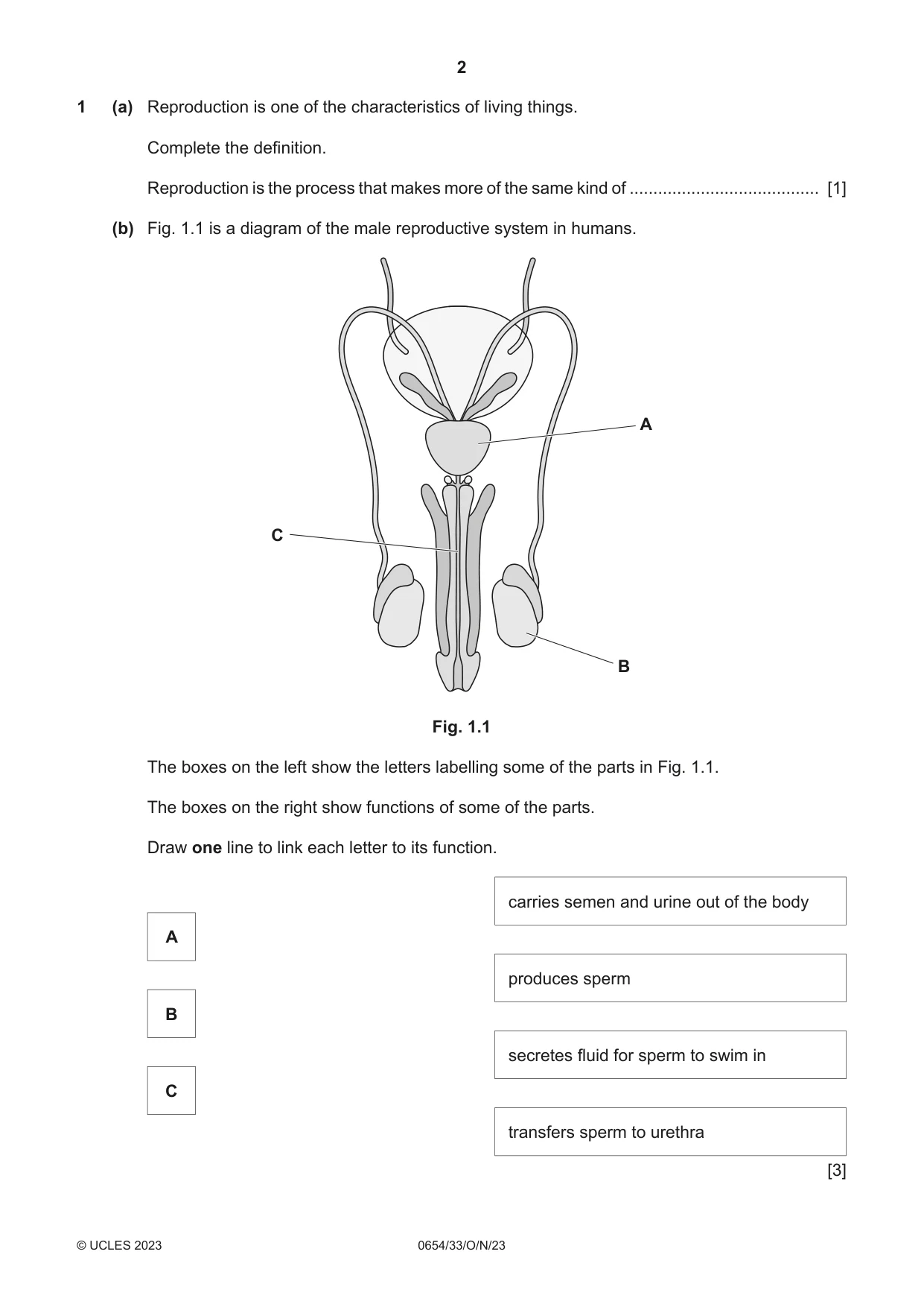 Cambridge IGCSE Sciences - Co-ordinated (Double) 0654 2023 Oct/Nov Paper 3 · Variant 3 question paper, page 2 of 28
