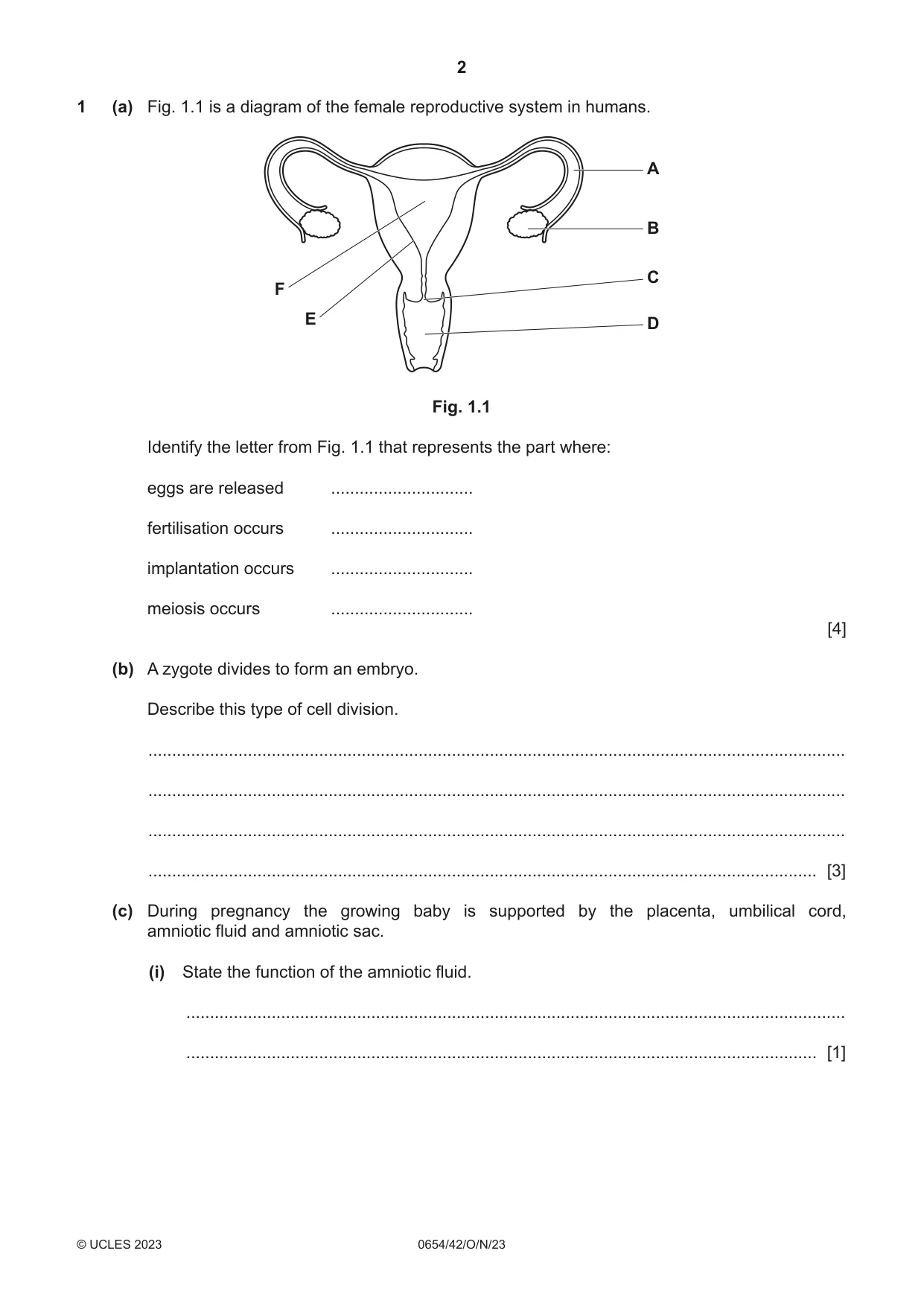 Cambridge IGCSE Sciences - Co-ordinated (Double) 0654 2023 Oct/Nov Paper 4 · Variant 2 question paper, page 2 of 32