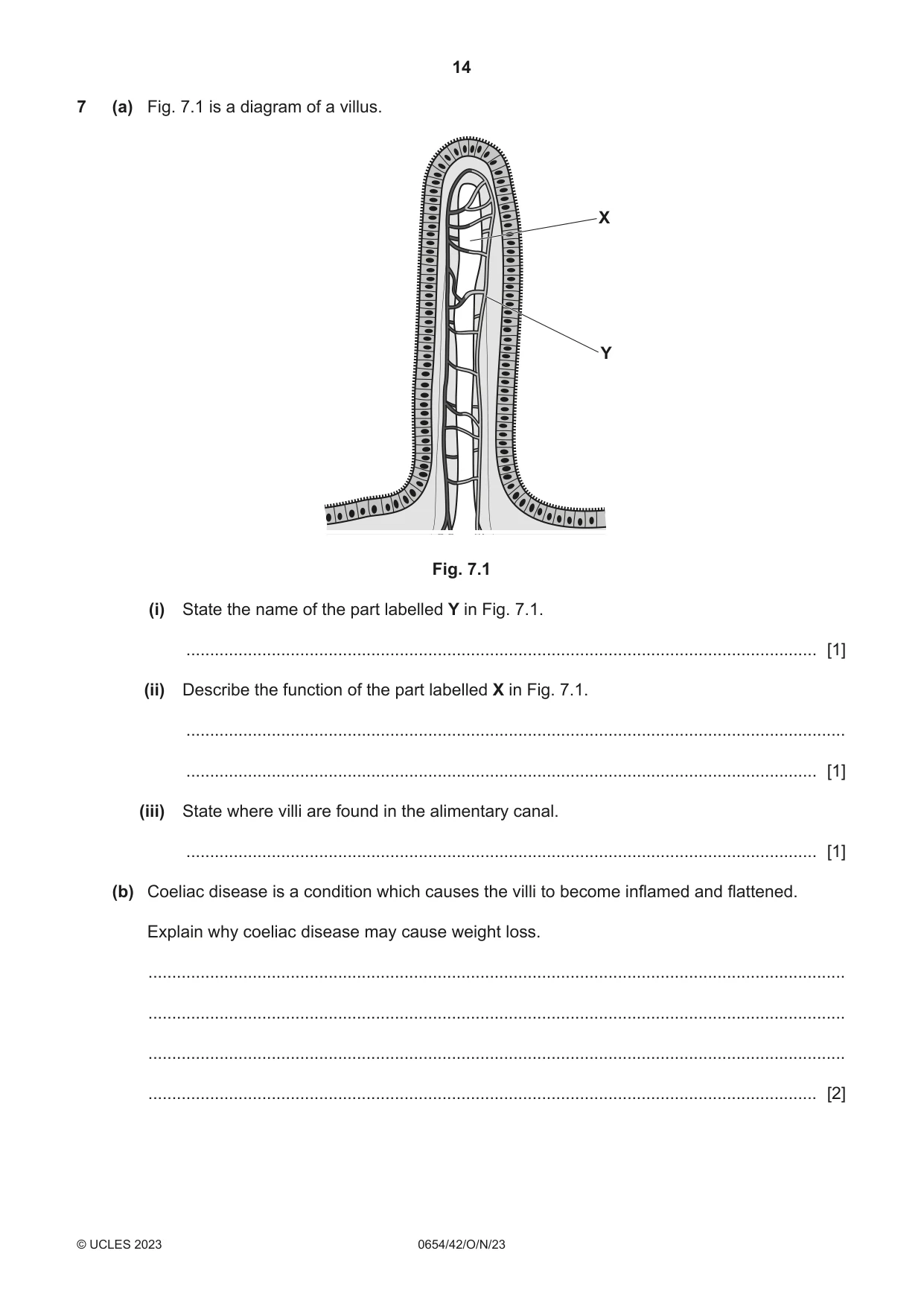 Cambridge IGCSE Sciences - Co-ordinated (Double) 0654 2023 Oct/Nov Paper 4 · Variant 2 question paper, page 14 of 32