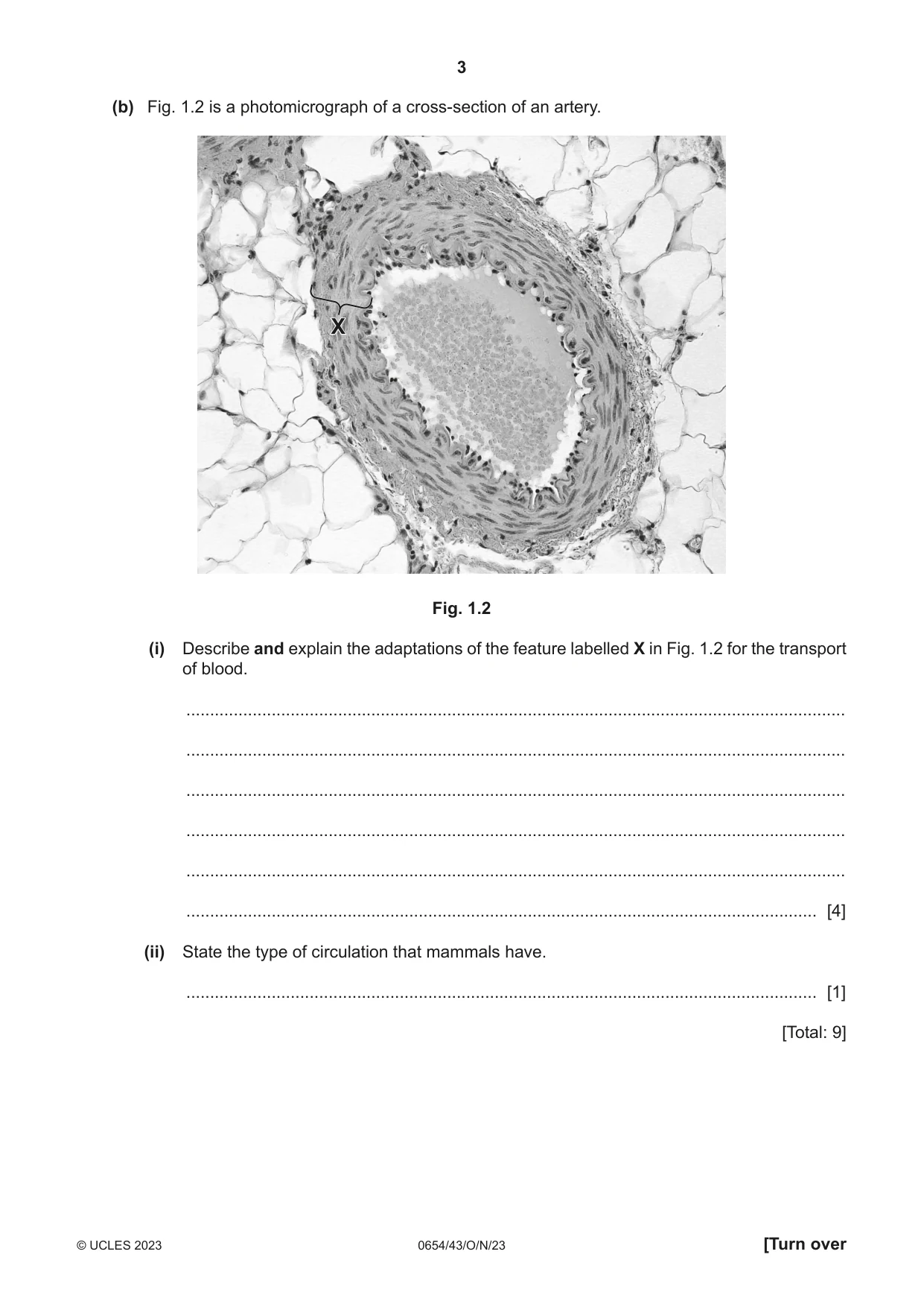 Cambridge IGCSE Sciences - Co-ordinated (Double) 0654 2023 Oct/Nov Paper 4 · Variant 3 question paper, page 3 of 28
