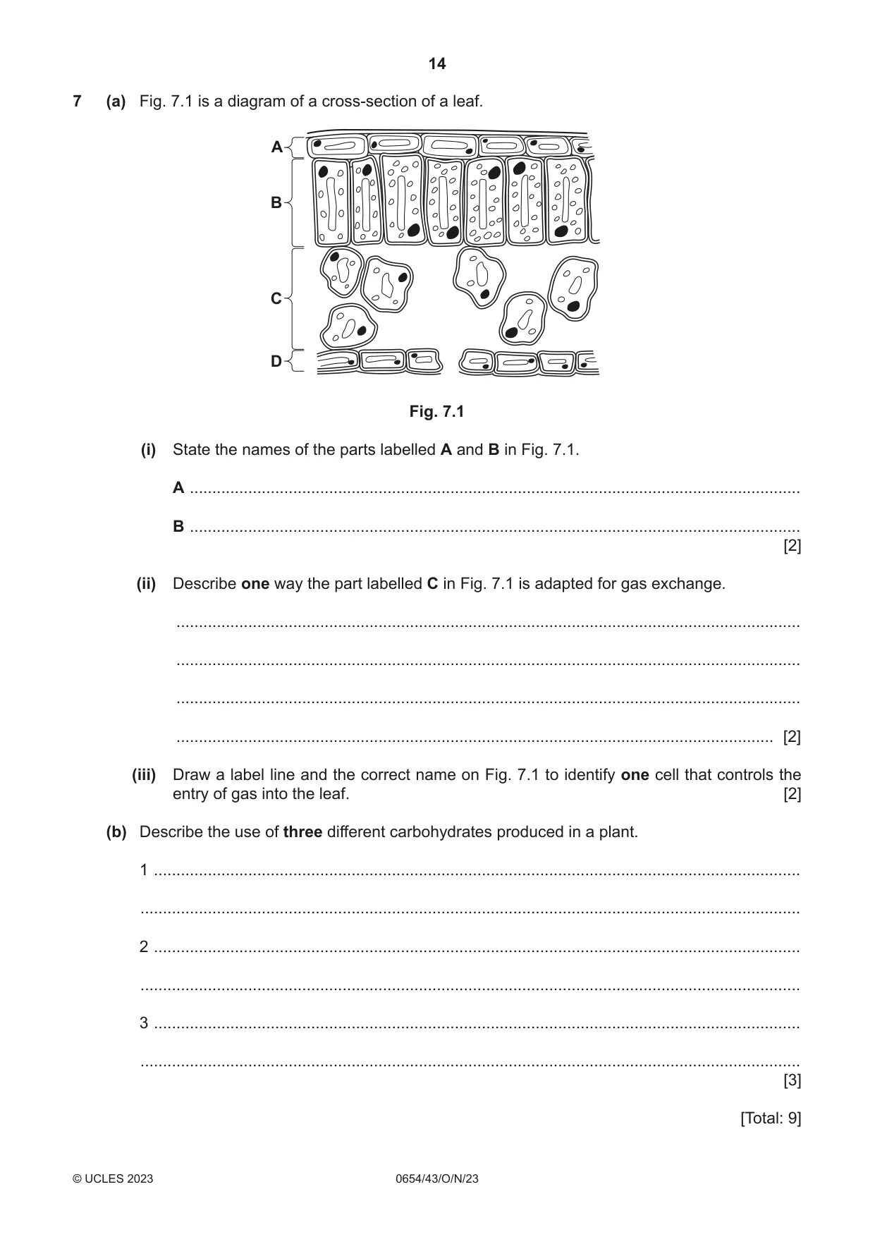 Cambridge IGCSE Sciences - Co-ordinated (Double) 0654 2023 Oct/Nov Paper 4 · Variant 3 question paper, page 14 of 28
