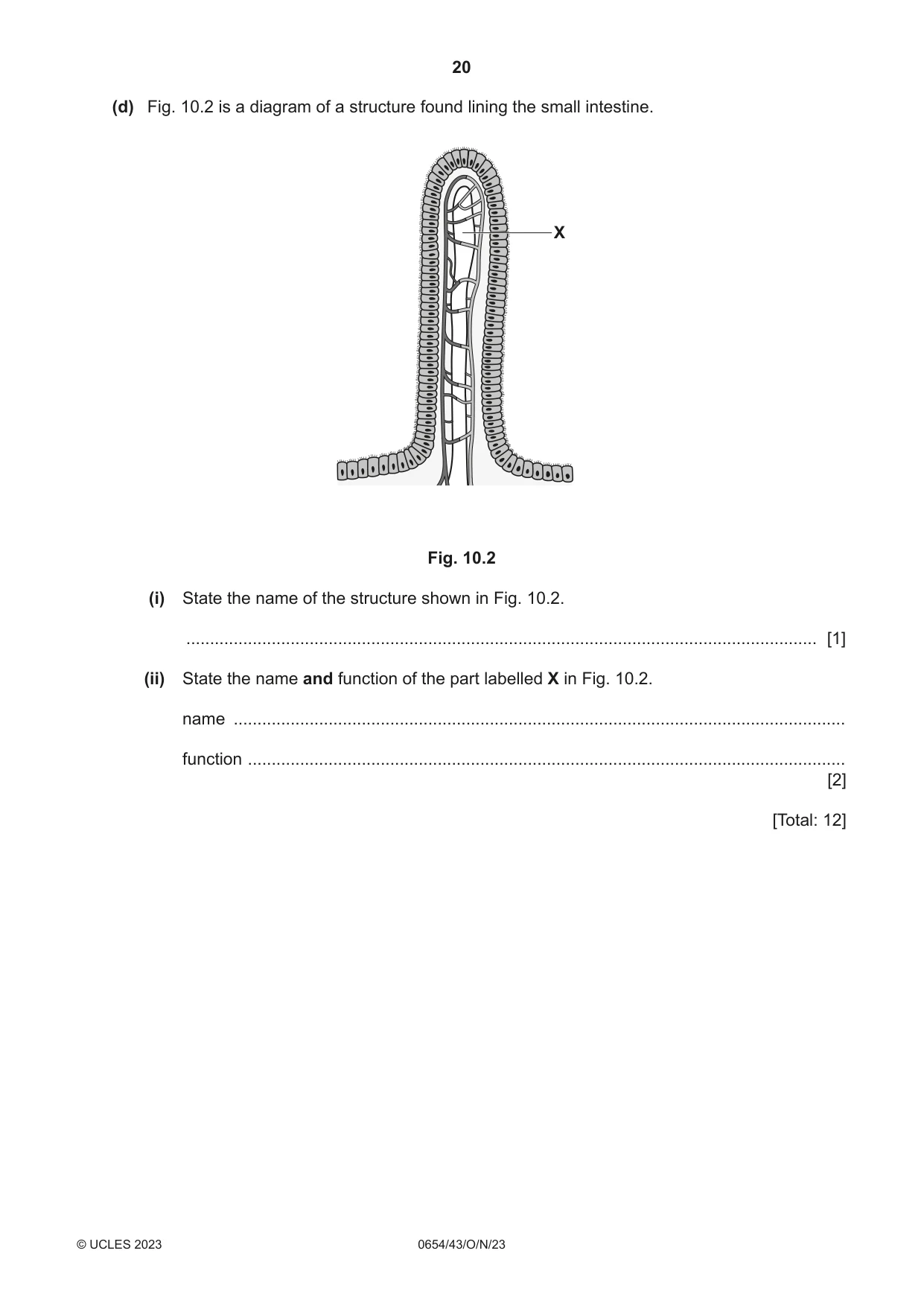 Cambridge IGCSE Sciences - Co-ordinated (Double) 0654 2023 Oct/Nov Paper 4 · Variant 3 question paper, page 20 of 28