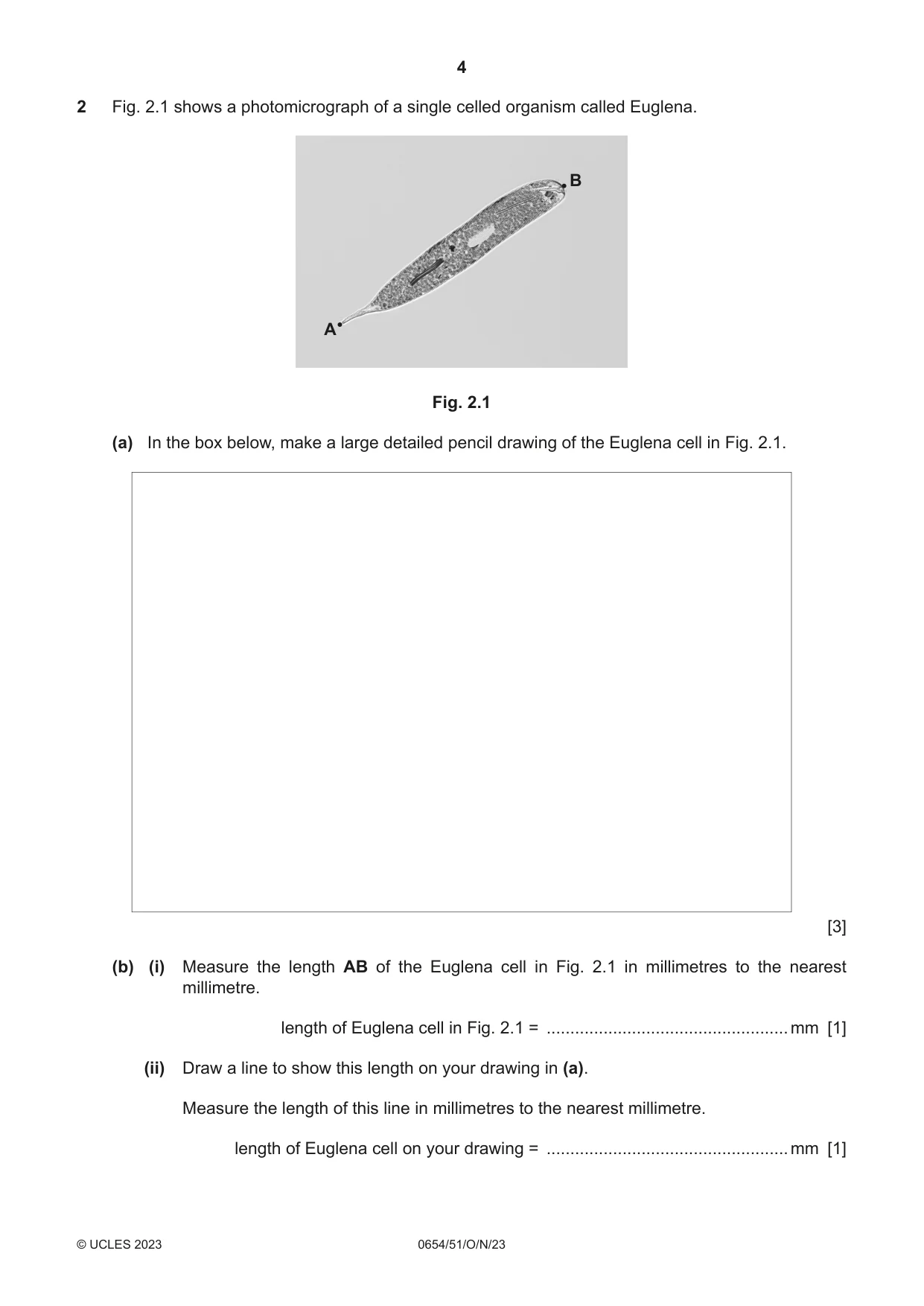 Cambridge IGCSE Sciences - Co-ordinated (Double) 0654 2023 Oct/Nov Paper 5 · Variant 1 question paper, page 4 of 20