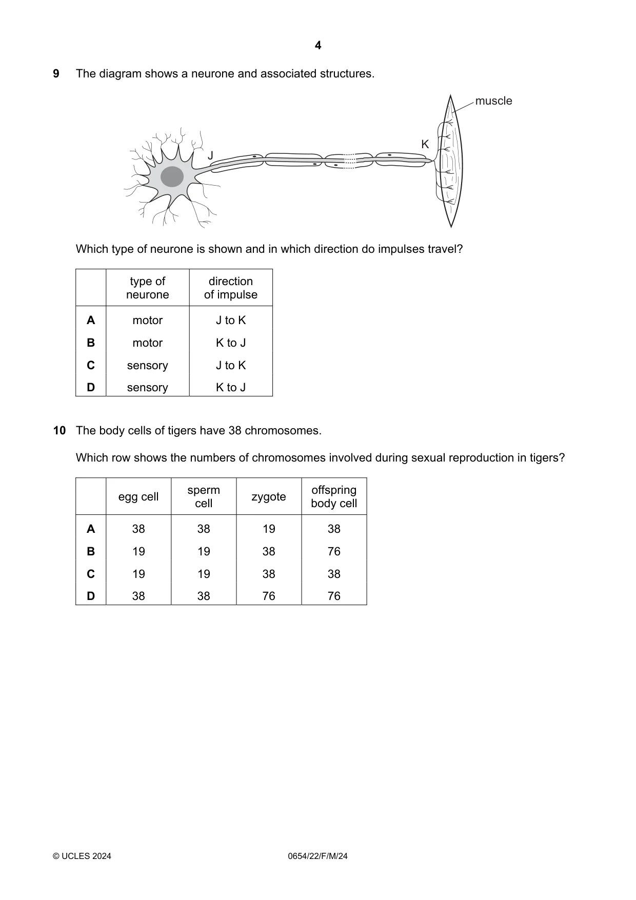 Cambridge IGCSE Sciences - Co-ordinated (Double) 0654 2024 Feb/March Paper 2 · Variant 2 question paper, page 4 of 16
