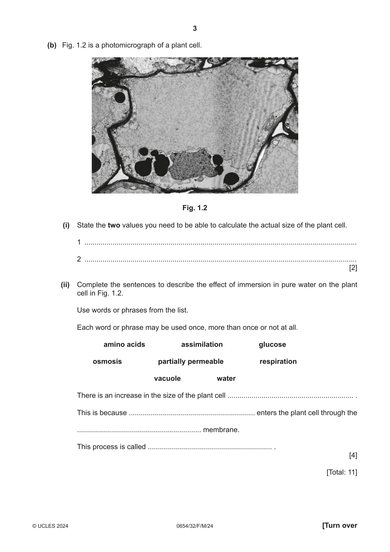 Cambridge IGCSE Sciences - Co-ordinated (Double) 0654 2024 Feb/March Paper 3 · Variant 2 question paper, page 3 of 28