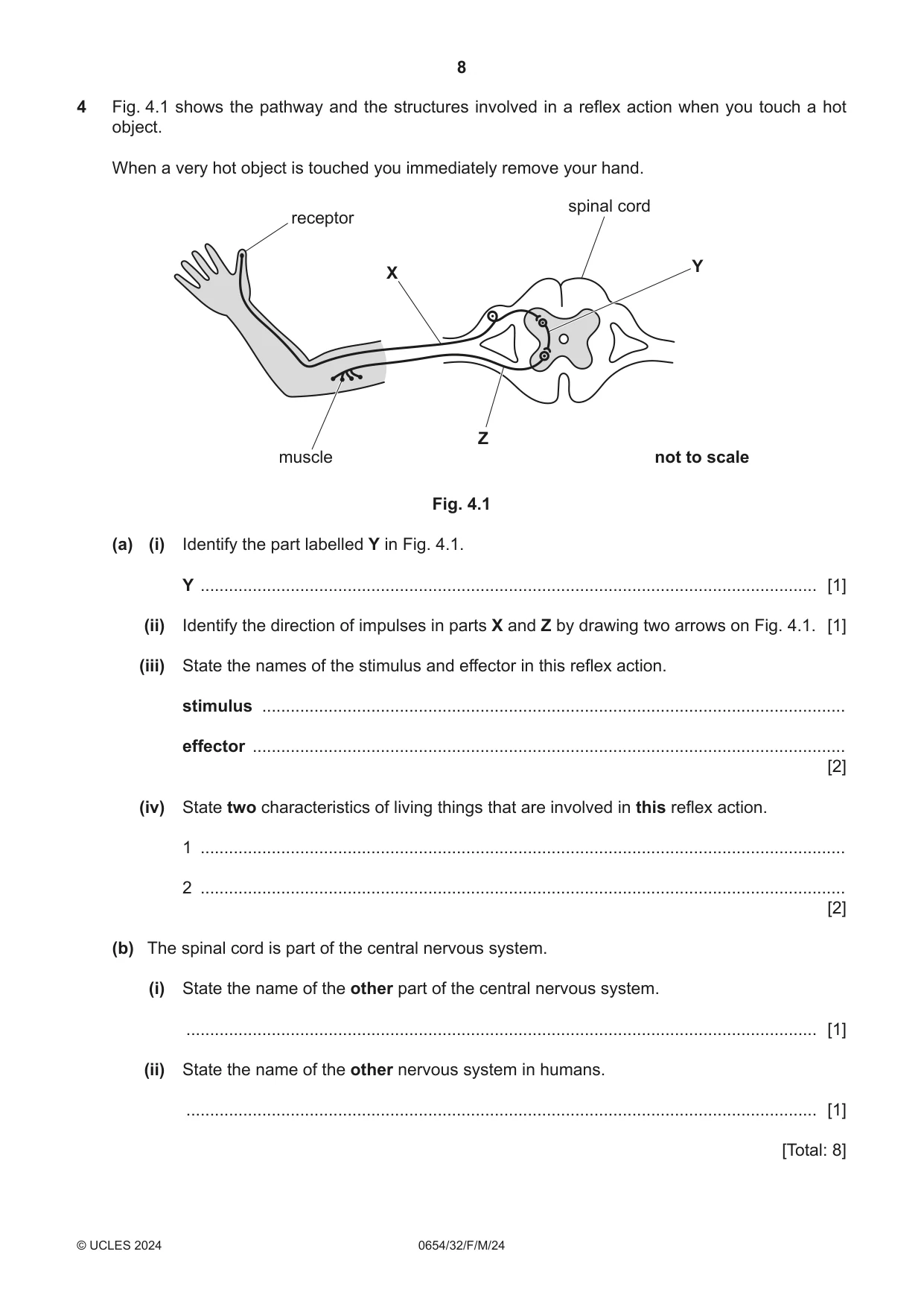 Cambridge IGCSE Sciences - Co-ordinated (Double) 0654 2024 Feb/March Paper 3 · Variant 2 question paper, page 8 of 28