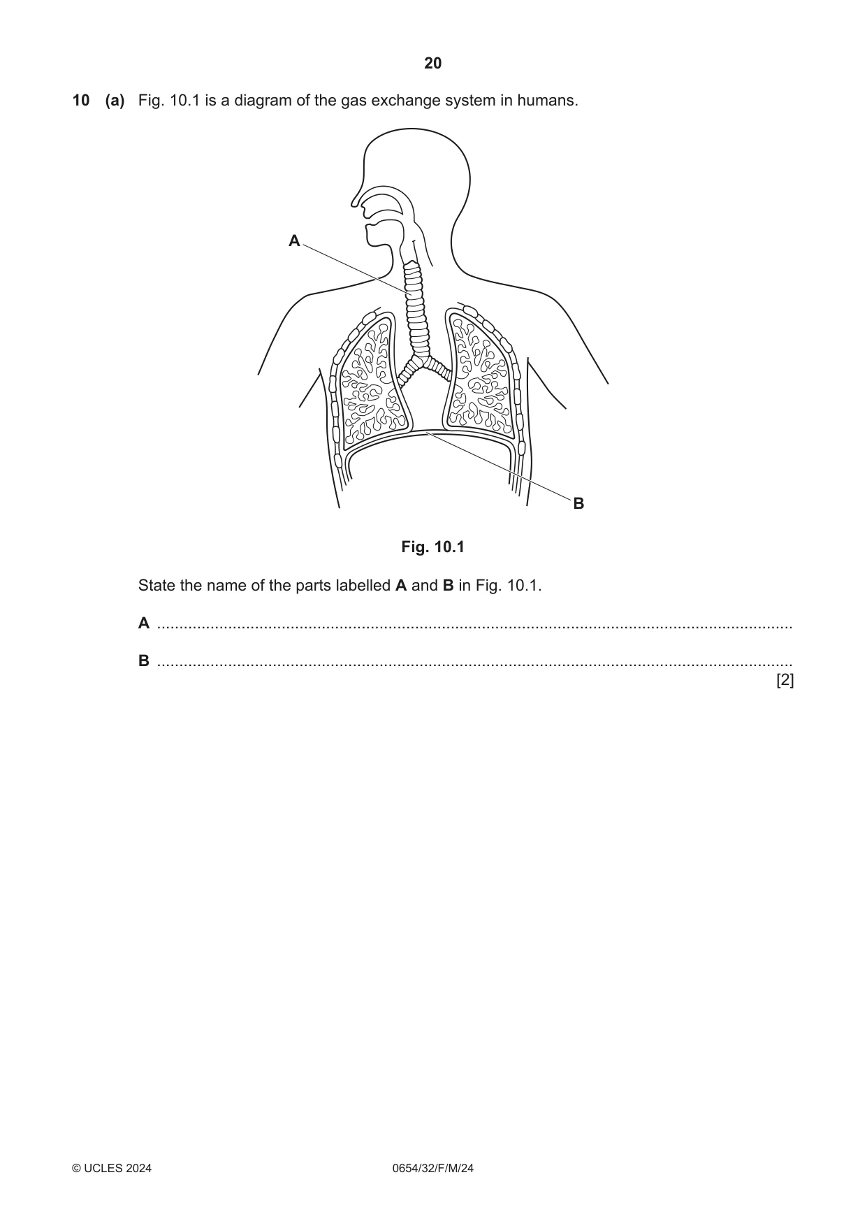 Cambridge IGCSE Sciences - Co-ordinated (Double) 0654 2024 Feb/March Paper 3 · Variant 2 question paper, page 20 of 28