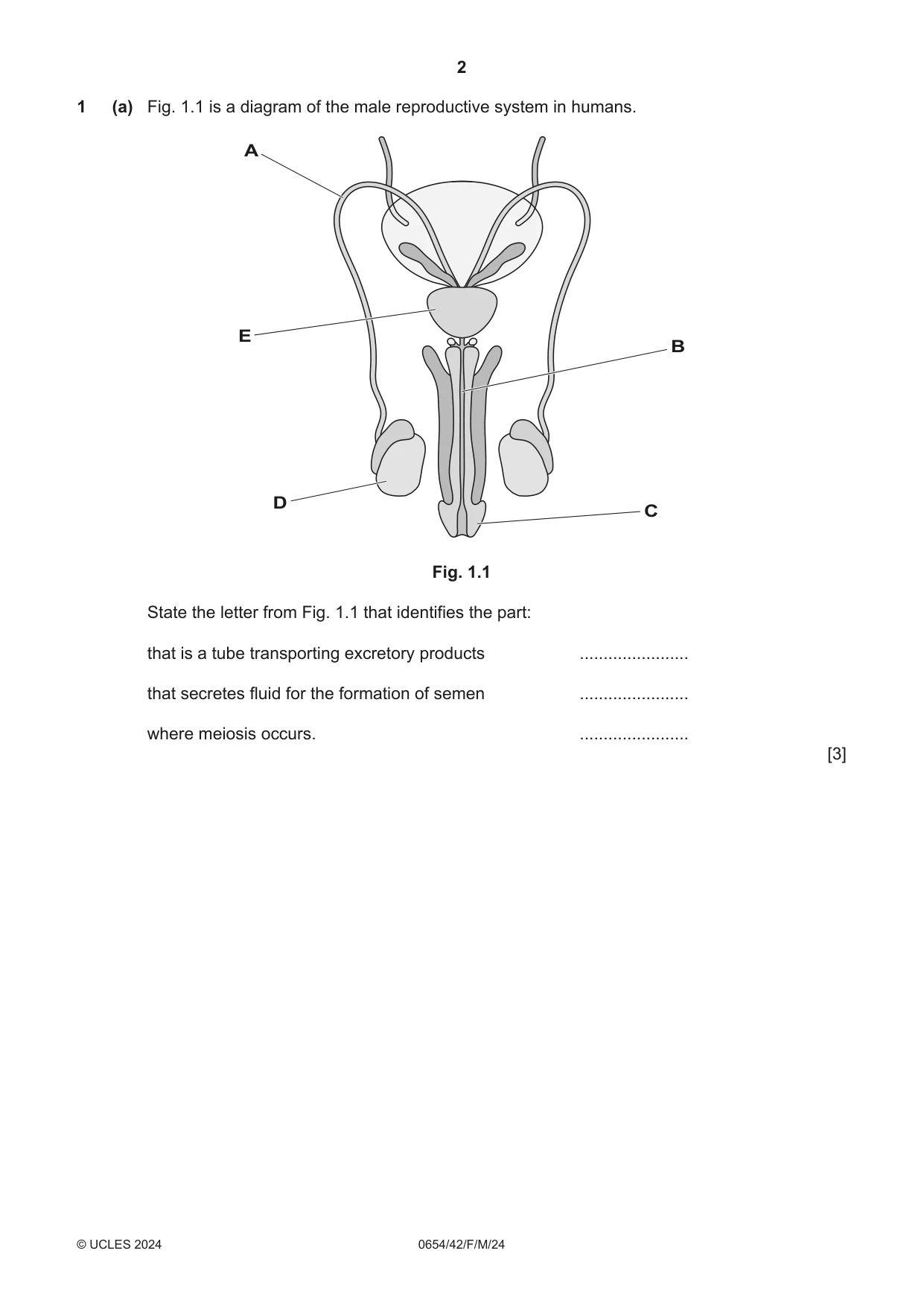Cambridge IGCSE Sciences - Co-ordinated (Double) 0654 2024 Feb/March Paper 4 · Variant 2 question paper, page 2 of 32