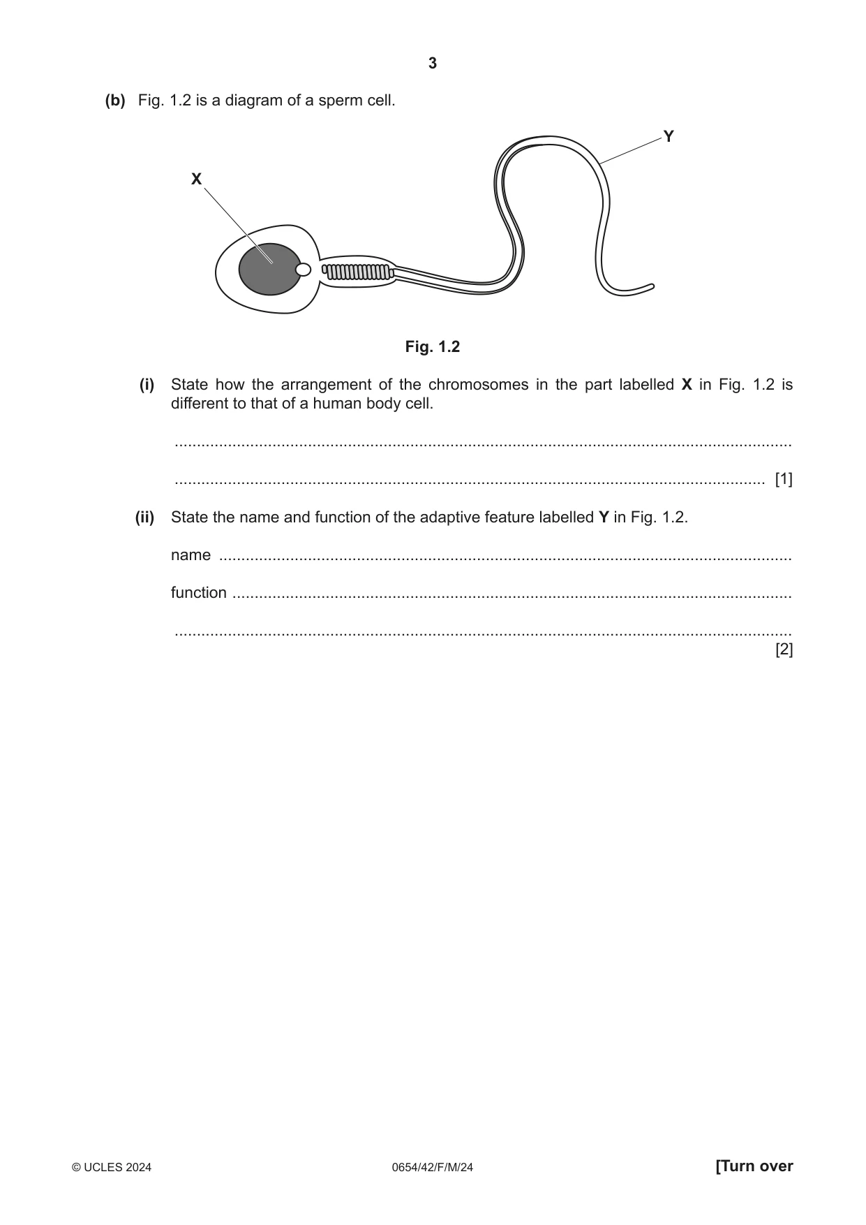 Cambridge IGCSE Sciences - Co-ordinated (Double) 0654 2024 Feb/March Paper 4 · Variant 2 question paper, page 3 of 32