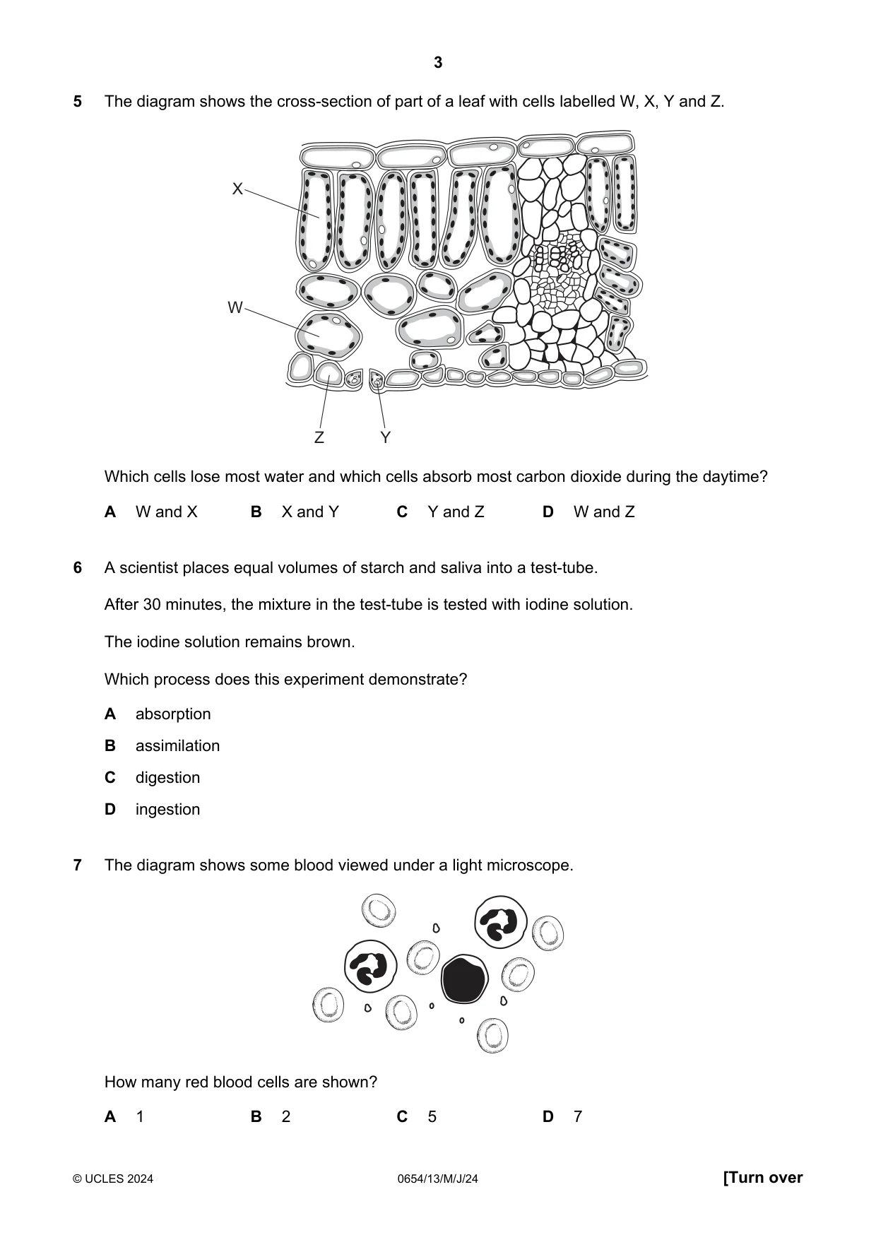 Cambridge IGCSE Sciences - Co-ordinated (Double) 0654 2024 May/June Paper 1 · Variant 3 question paper, page 3 of 16